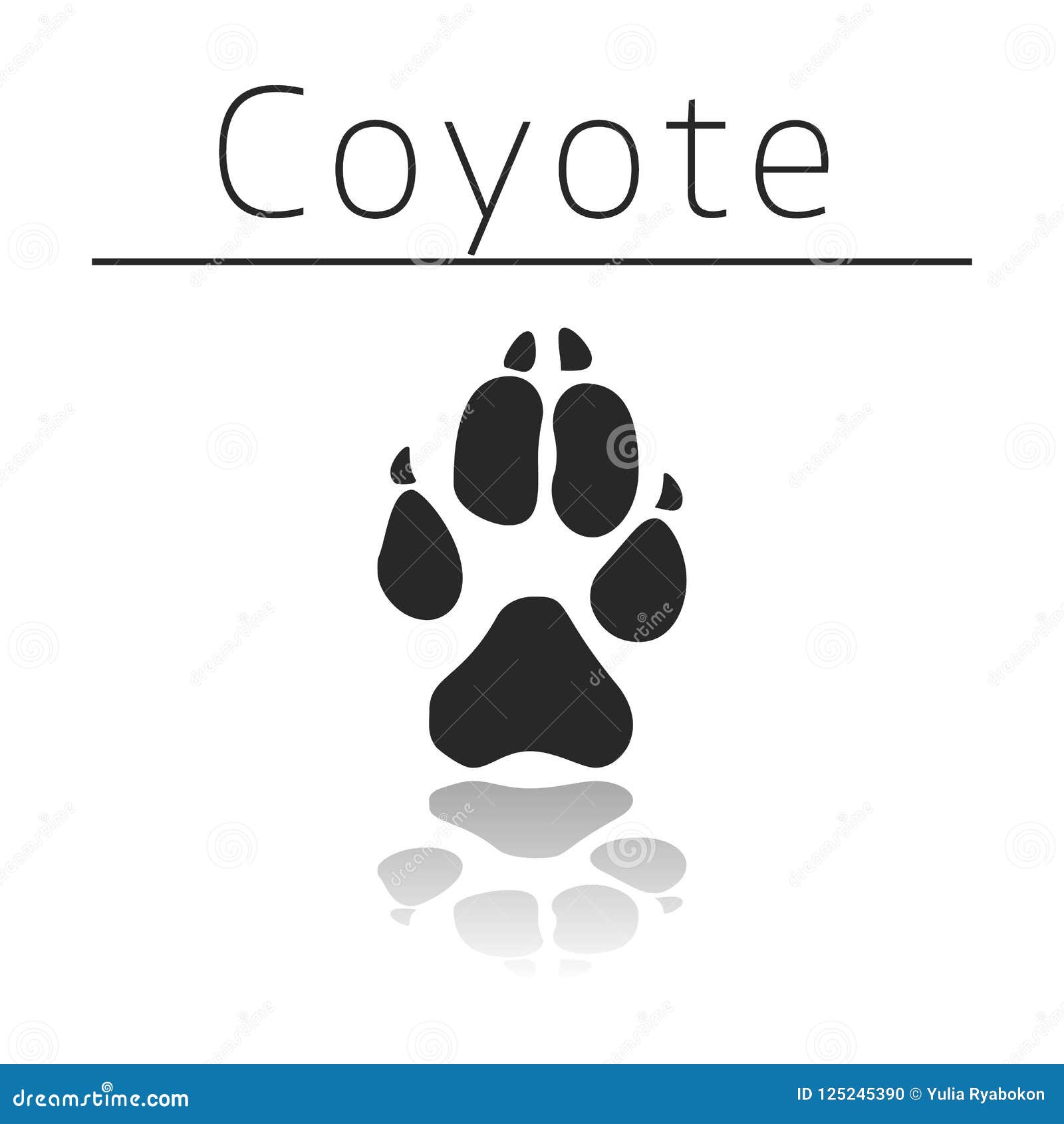 Snuble Fremhævet Modig Coyote Paw Print Stock Illustrations – 105 Coyote Paw Print Stock  Illustrations, Vectors & Clipart - Dreamstime