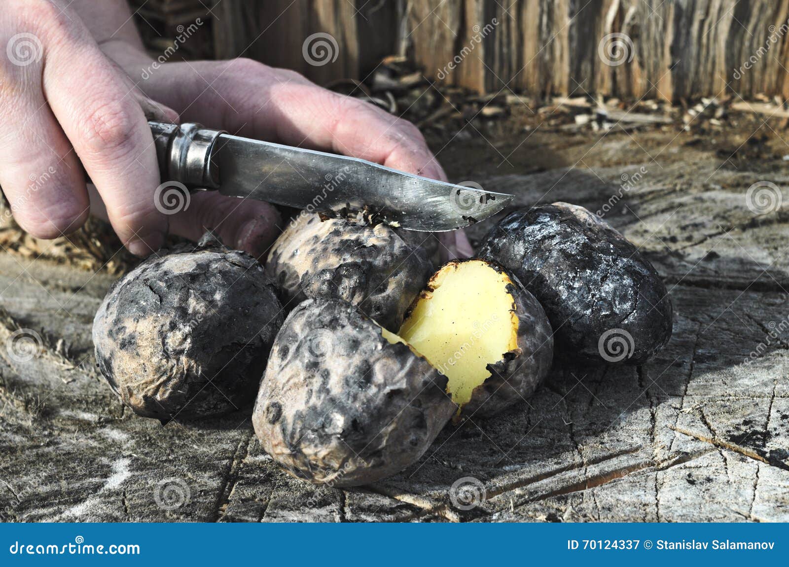 Печеный в золе. Печеная картошка в углях. Картошка на углях в костре. Картошка на костре. Печеный картофель на костре.