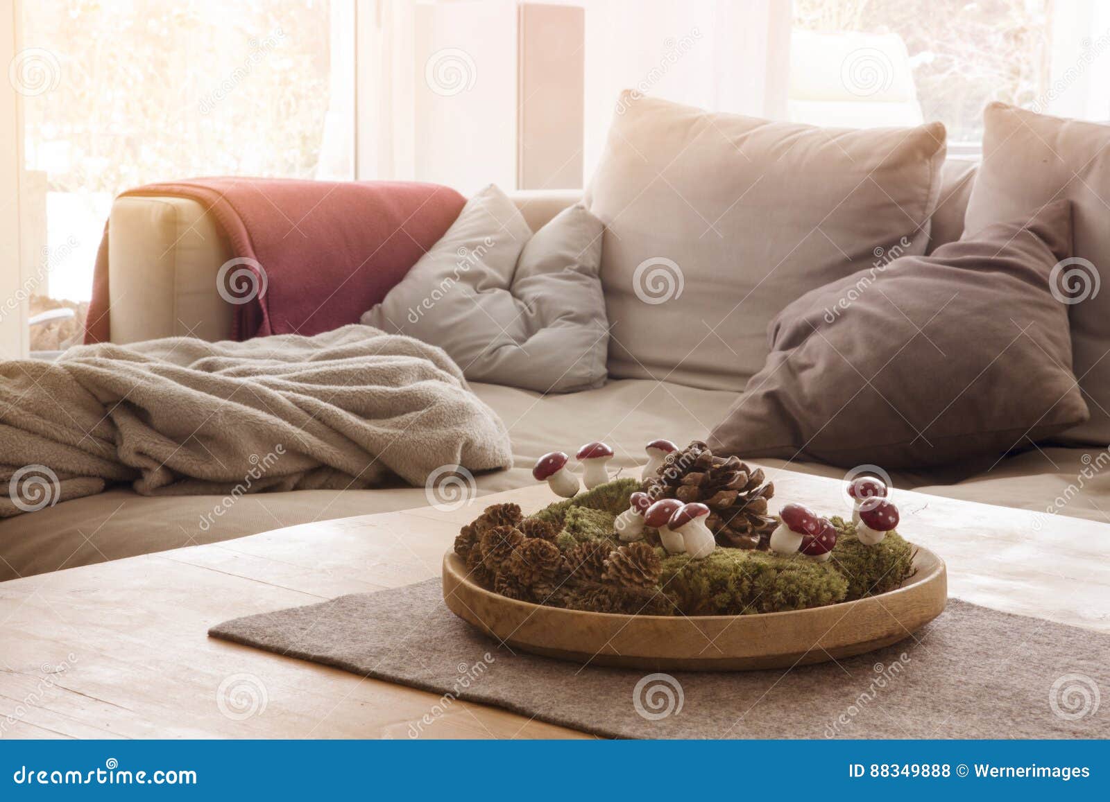 Cozy Couch with Blanket in Living Room Stock Photo Image of house