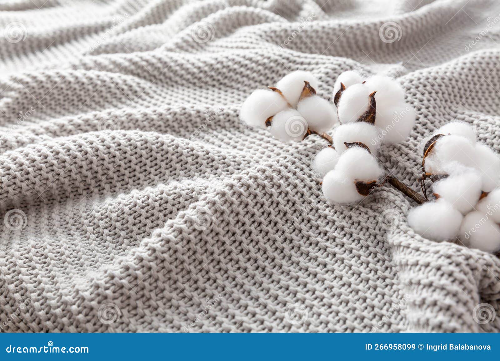 Cozy Grey Blanket with Cotton Flowers and Copy Space Stock Image