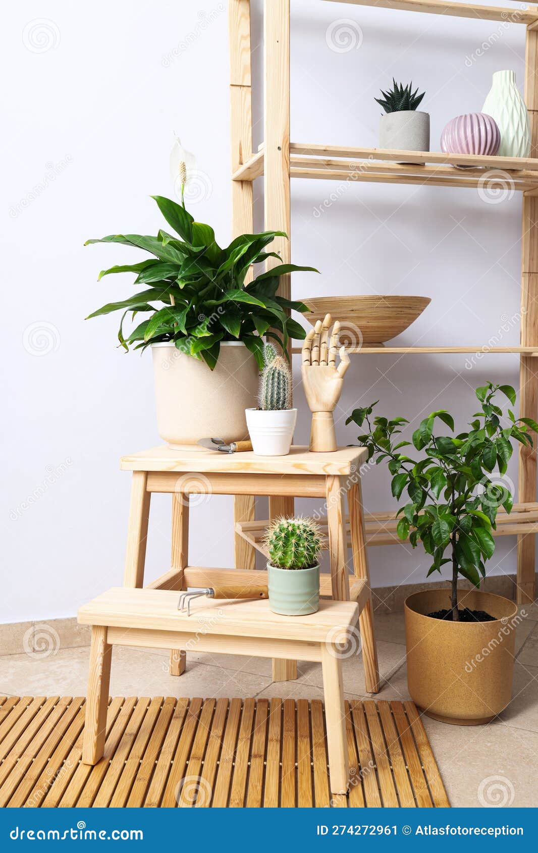 Cozy Hobby Growing Indoor Plants at Home Stock Image Image of