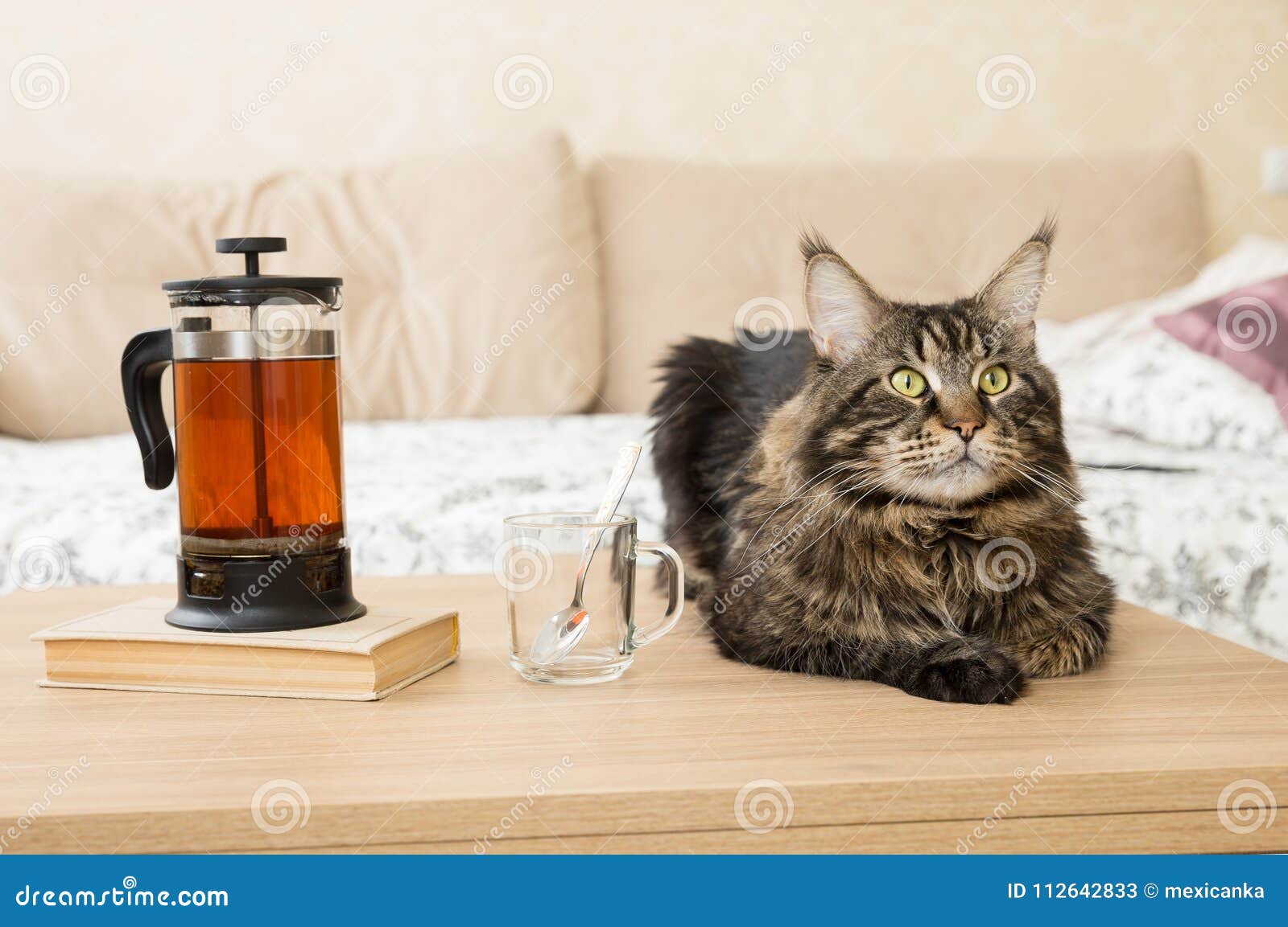 Cozy House. on the Table a Kettle and a Nearby Cat Stock Image Image