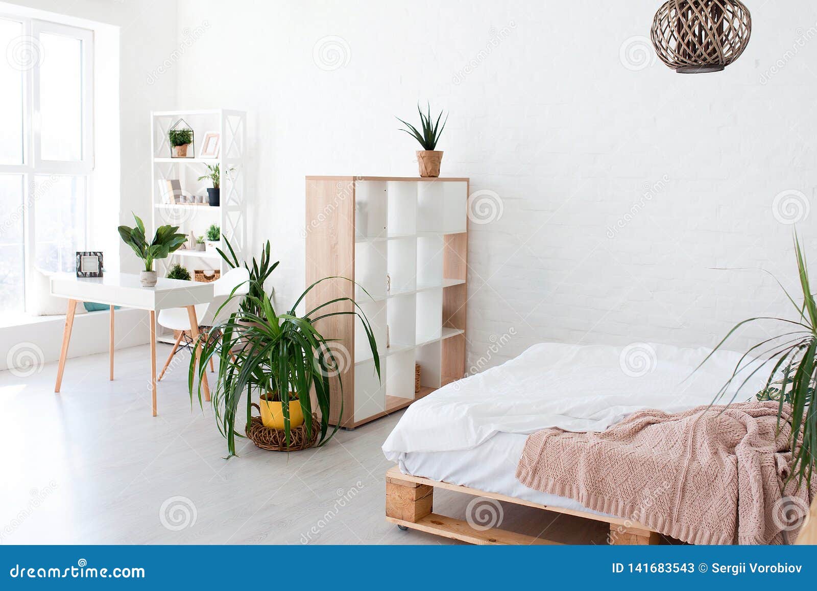 Cozy Interior Design Of Modern Studio Apartment In Scandinavian