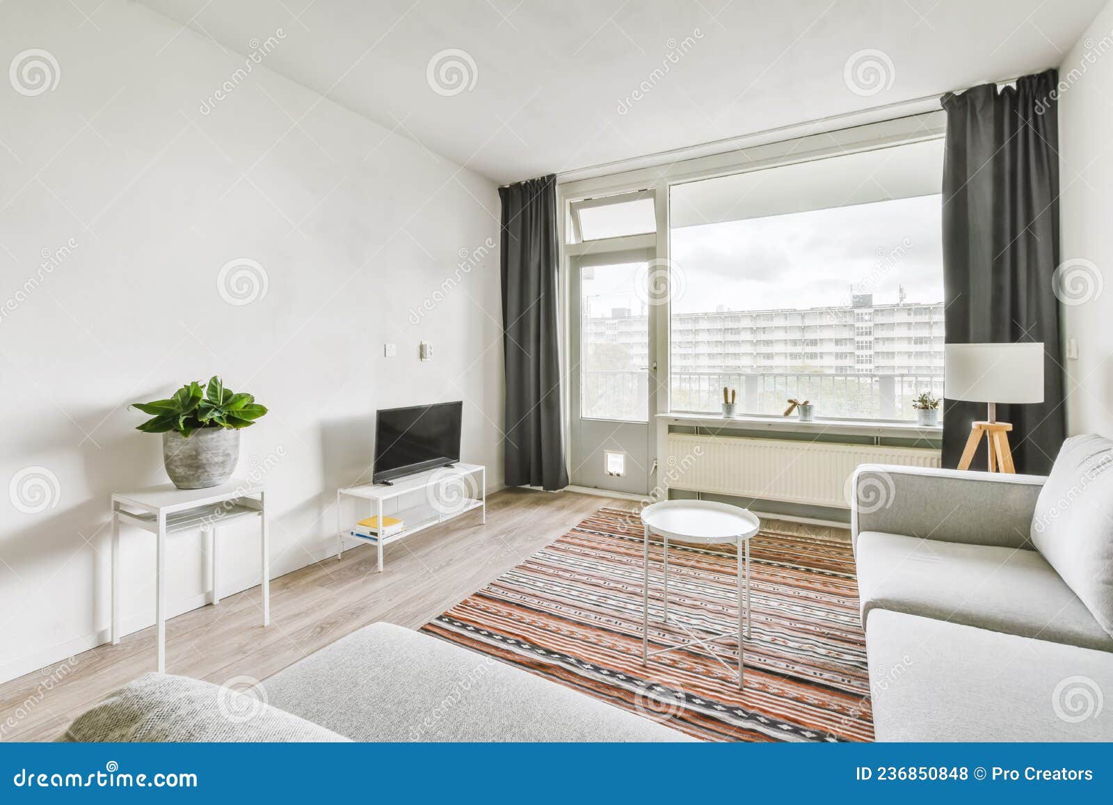 cozy-living-room-daylight-plants-cozy-living-room-plants-236850848.jpg