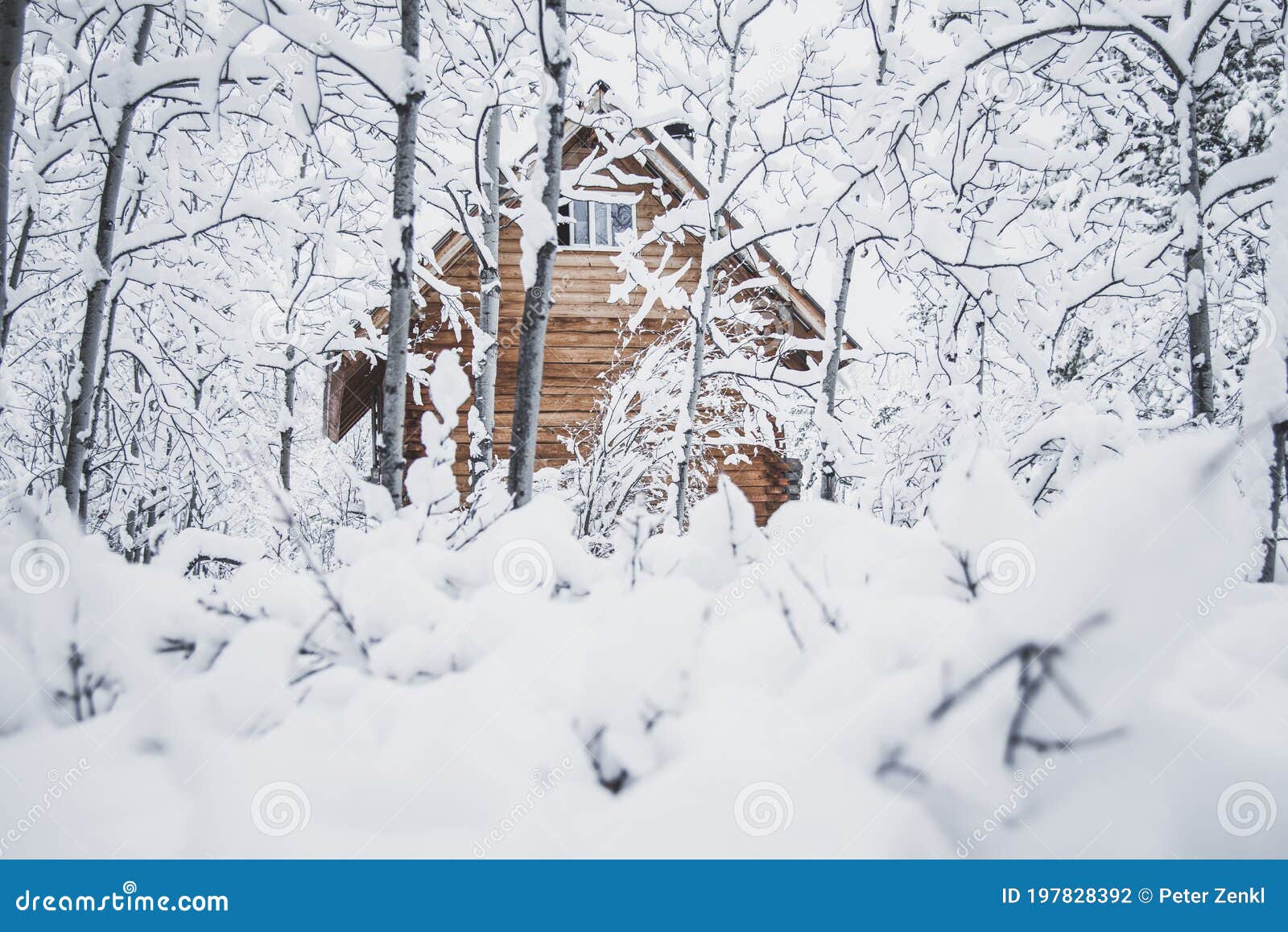 A Cozy Cabin in a Winter Wonderland Stock Photo - Image of bungalow