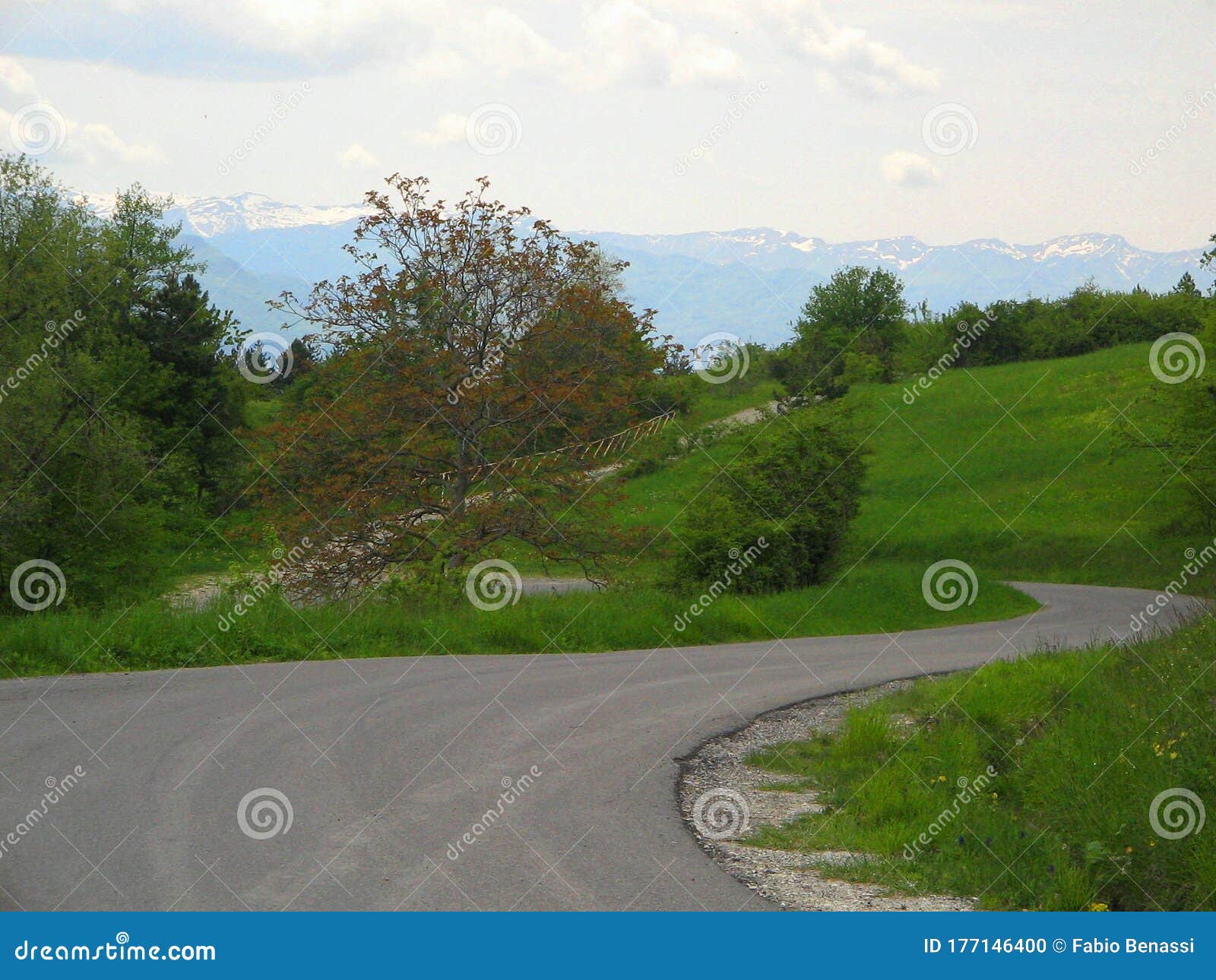 cozzano pineta, provincia di parma,italy, a way in the mountain