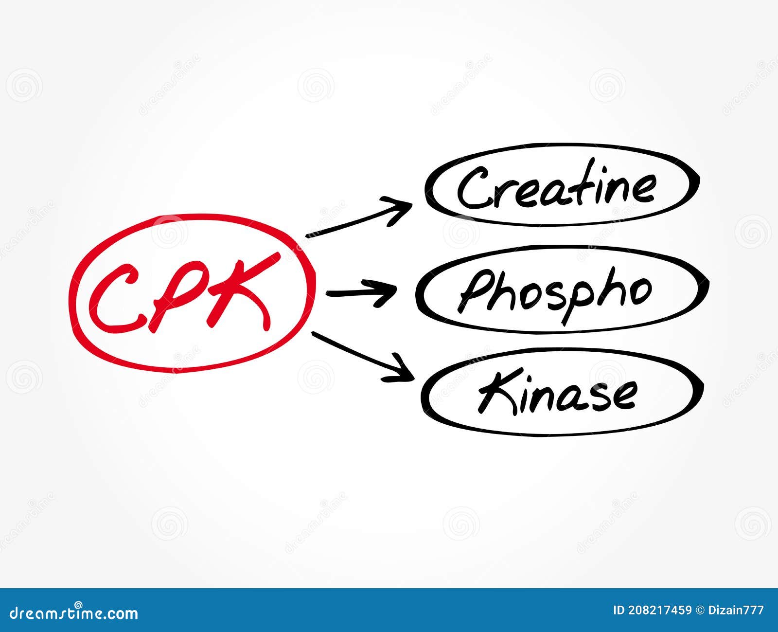 CPK Creatine Phosphokinase Acronym Stock Illustration Illustration