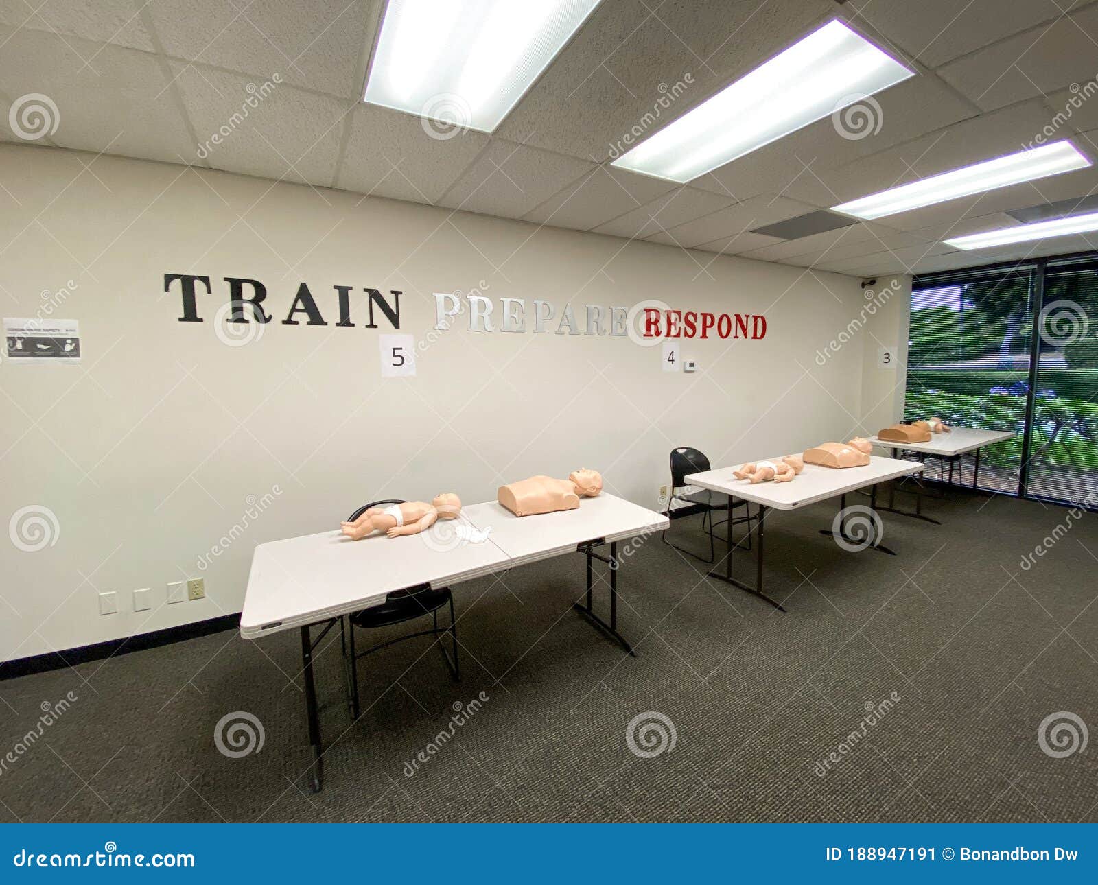 CPR Training Class with CPR Dummy for First Aid Training Stock Image