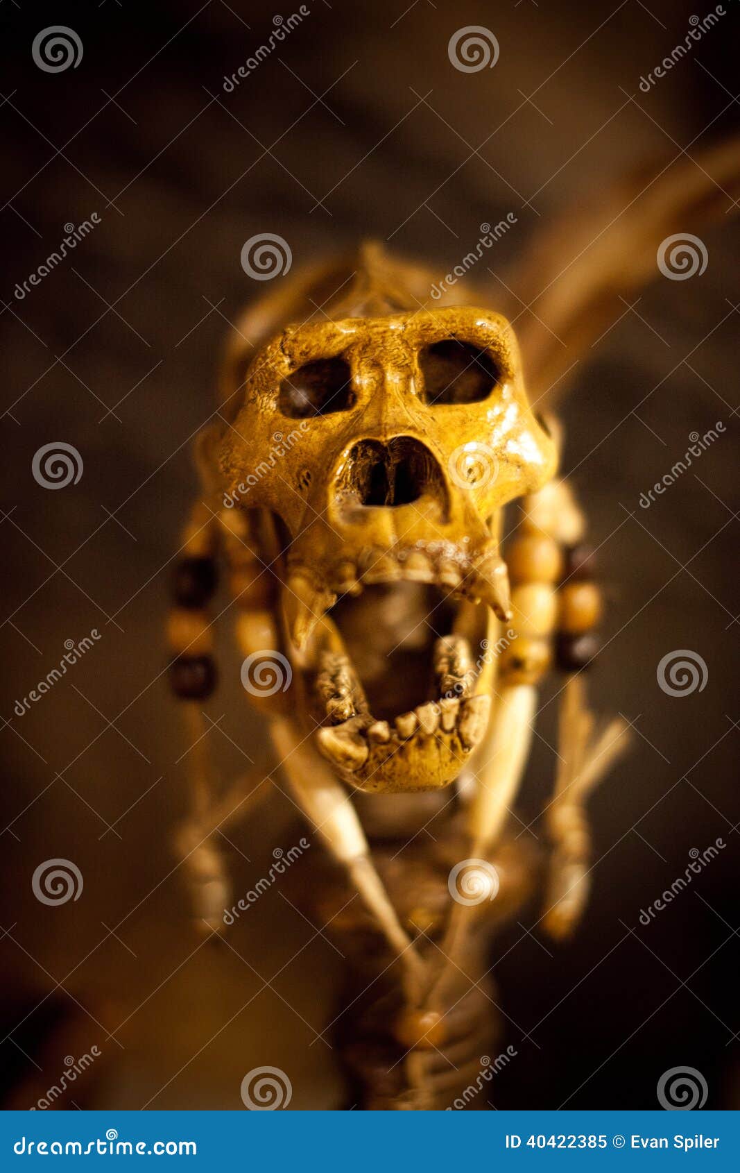 Claquetes | Evilmar Almeida (@claquetes) • Instagram photos and videos, image size:1067x1690