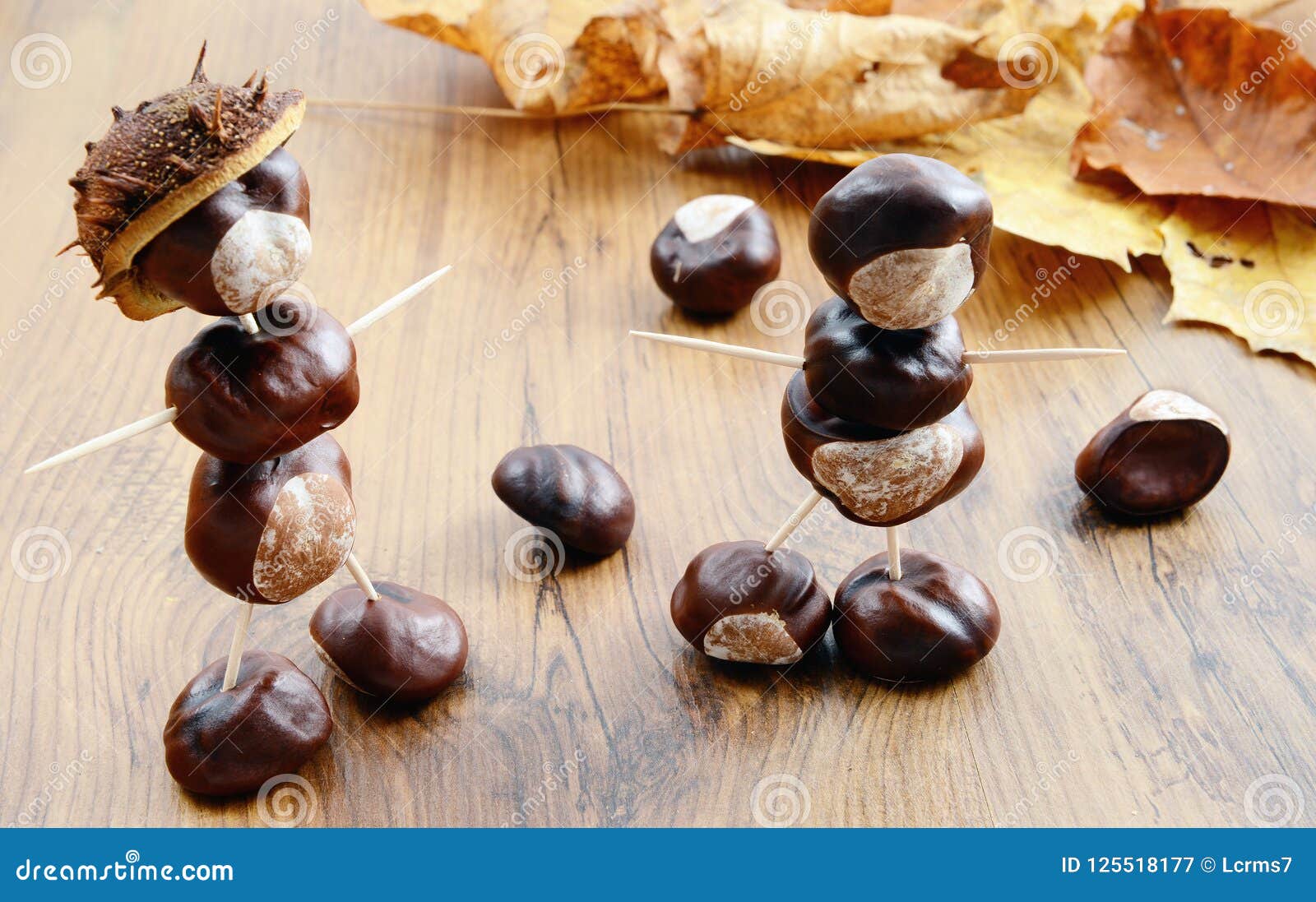 Creant Des Chiffres De Chataigne Faits D Ecrous Feuilles D Erable Dans Le Backgrou Image Stock Image Du Chiffres Ecrous