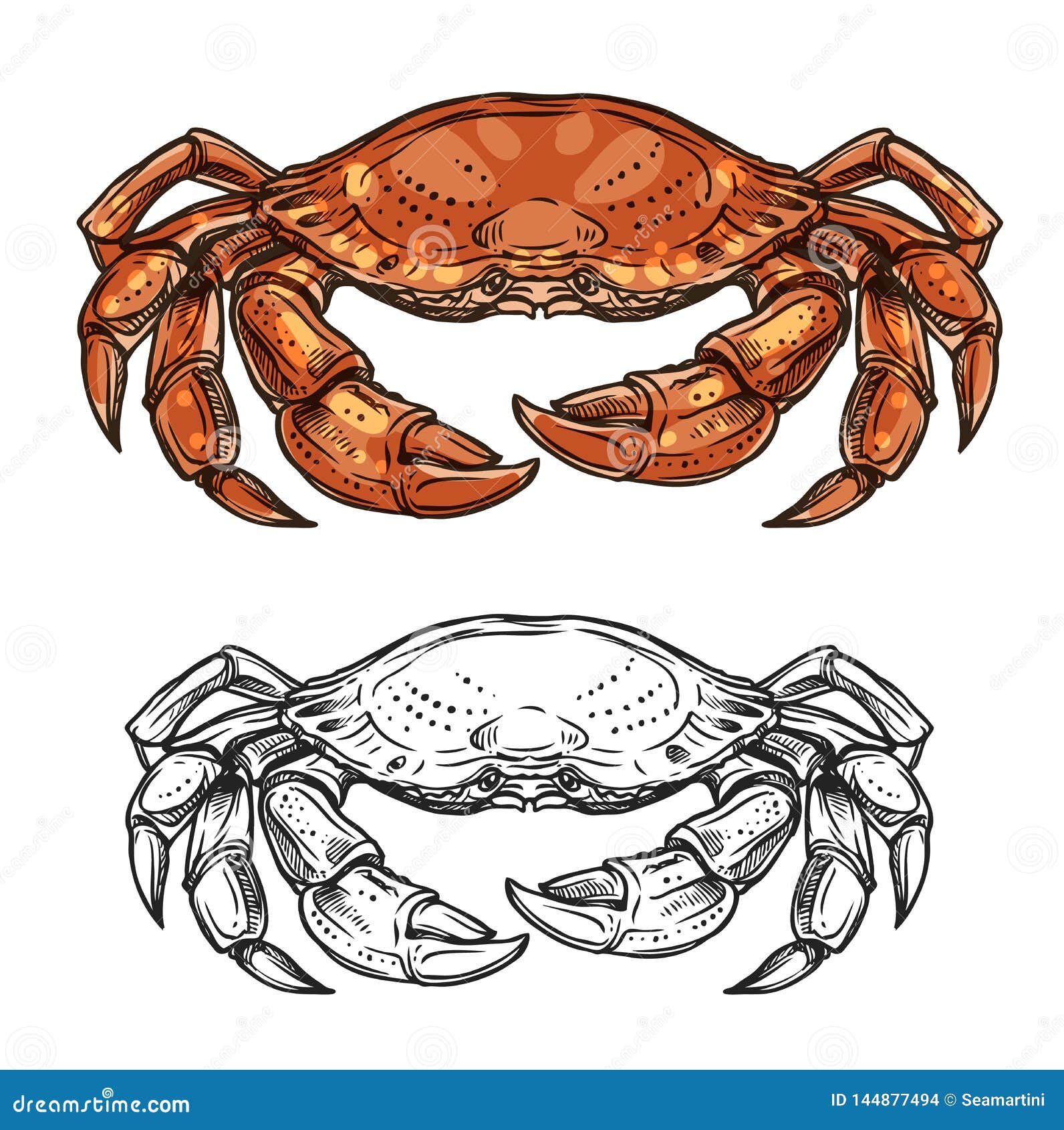 crustaceans drawing