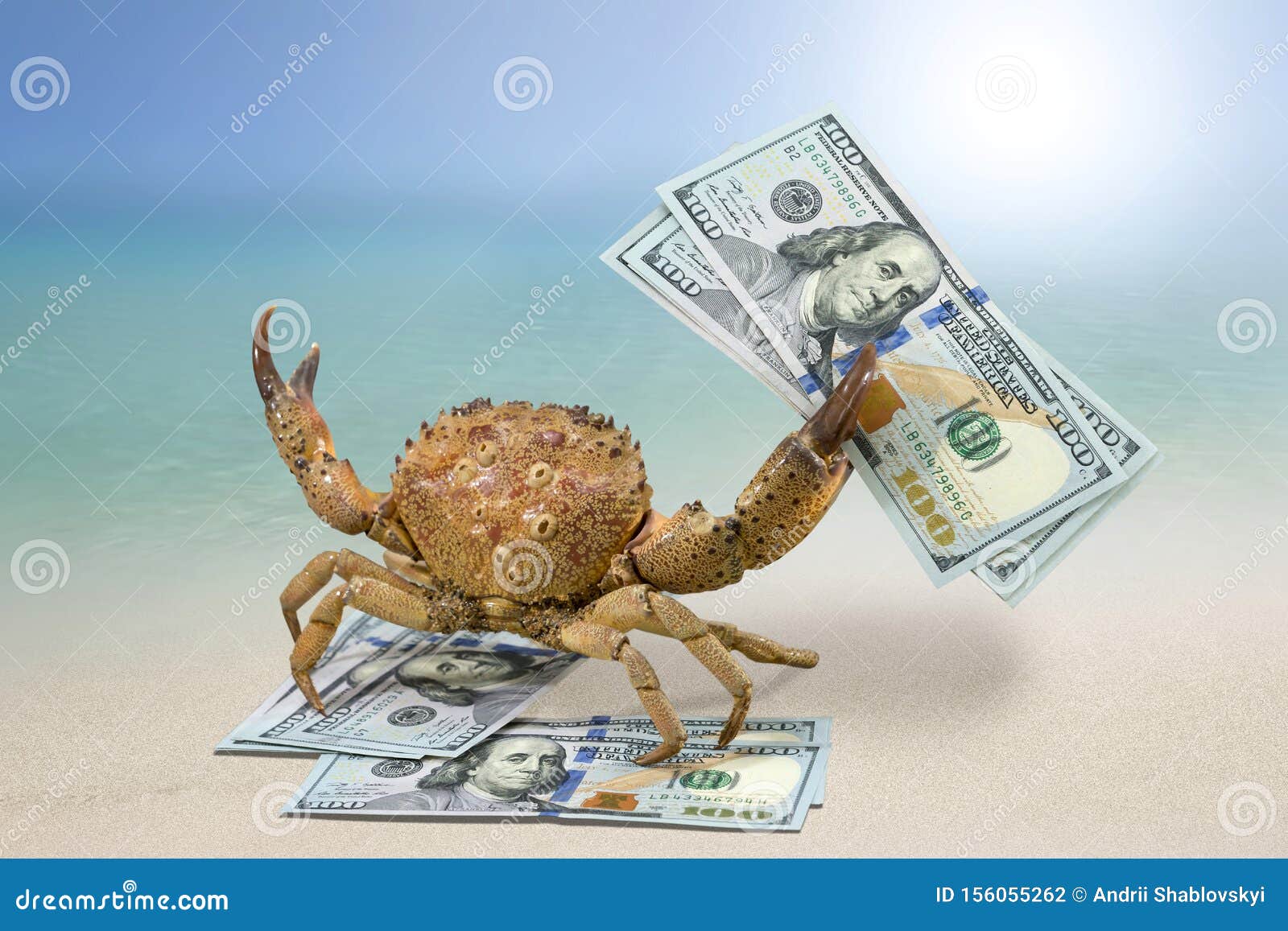 Crab on the Beach and US Dollars. Stock Photo Image of cash, finance