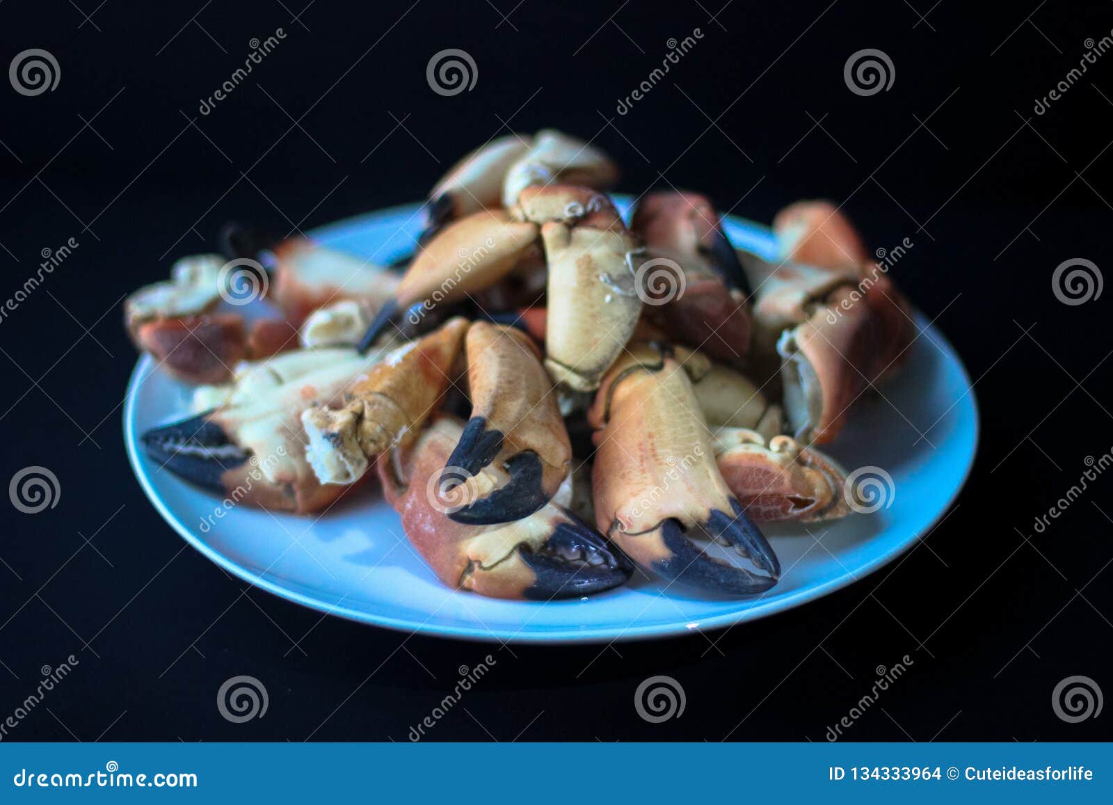 Crab Claws from Atlantic Coast Stock Photo Image of black, dining