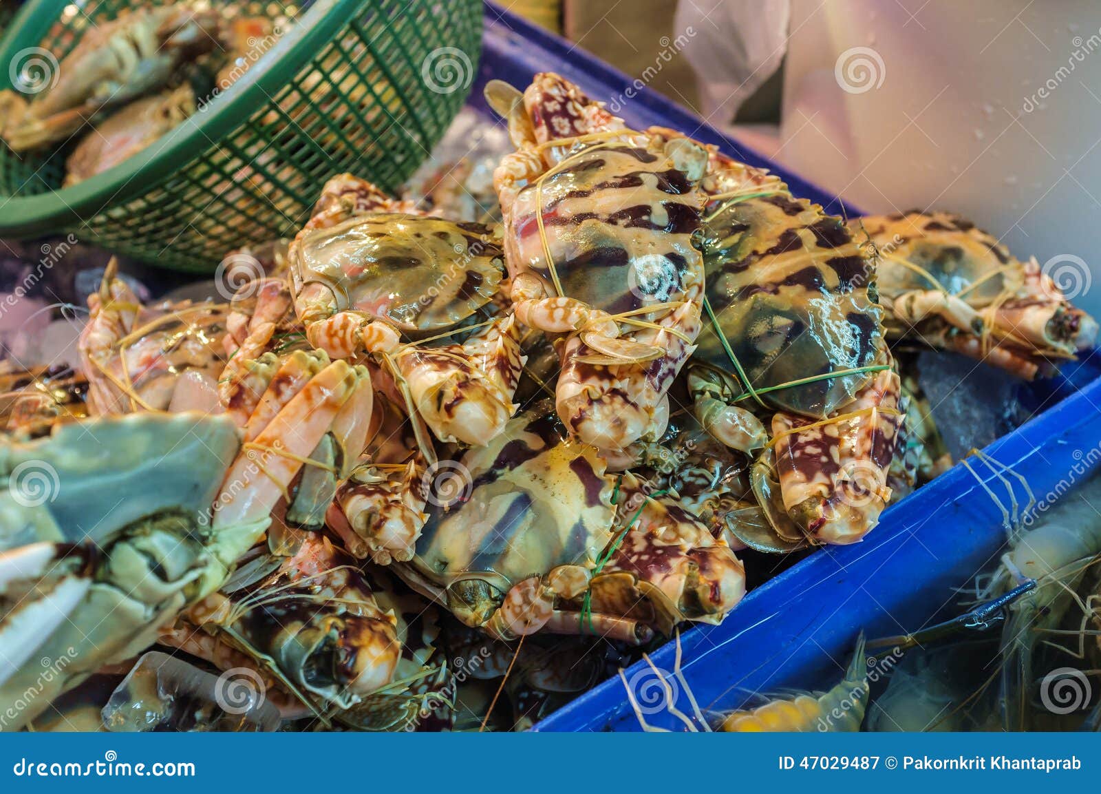 Crab in Fish Market stock image. Image of industry, meat 47029487