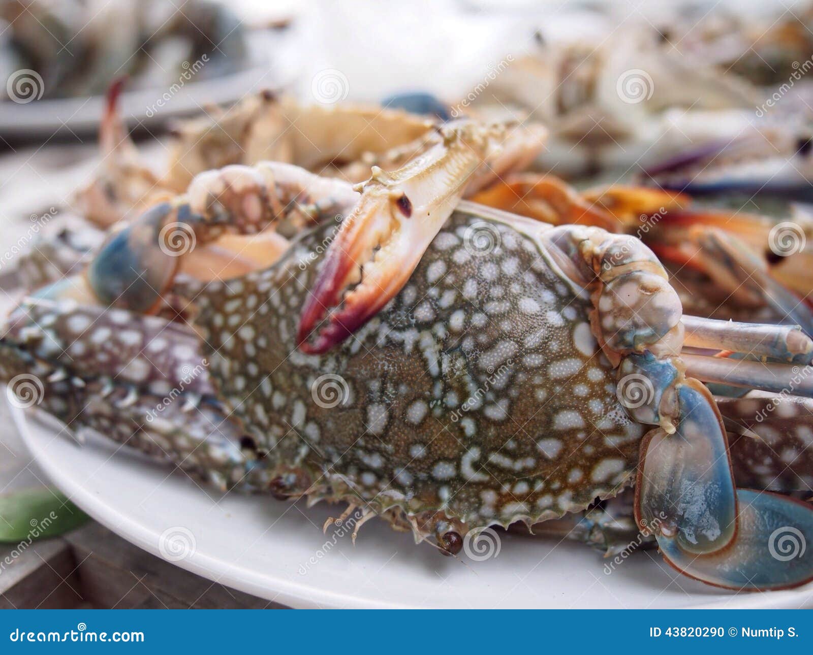 Raw crab stock photo. Image of straw, shrimps, seafood 43820290