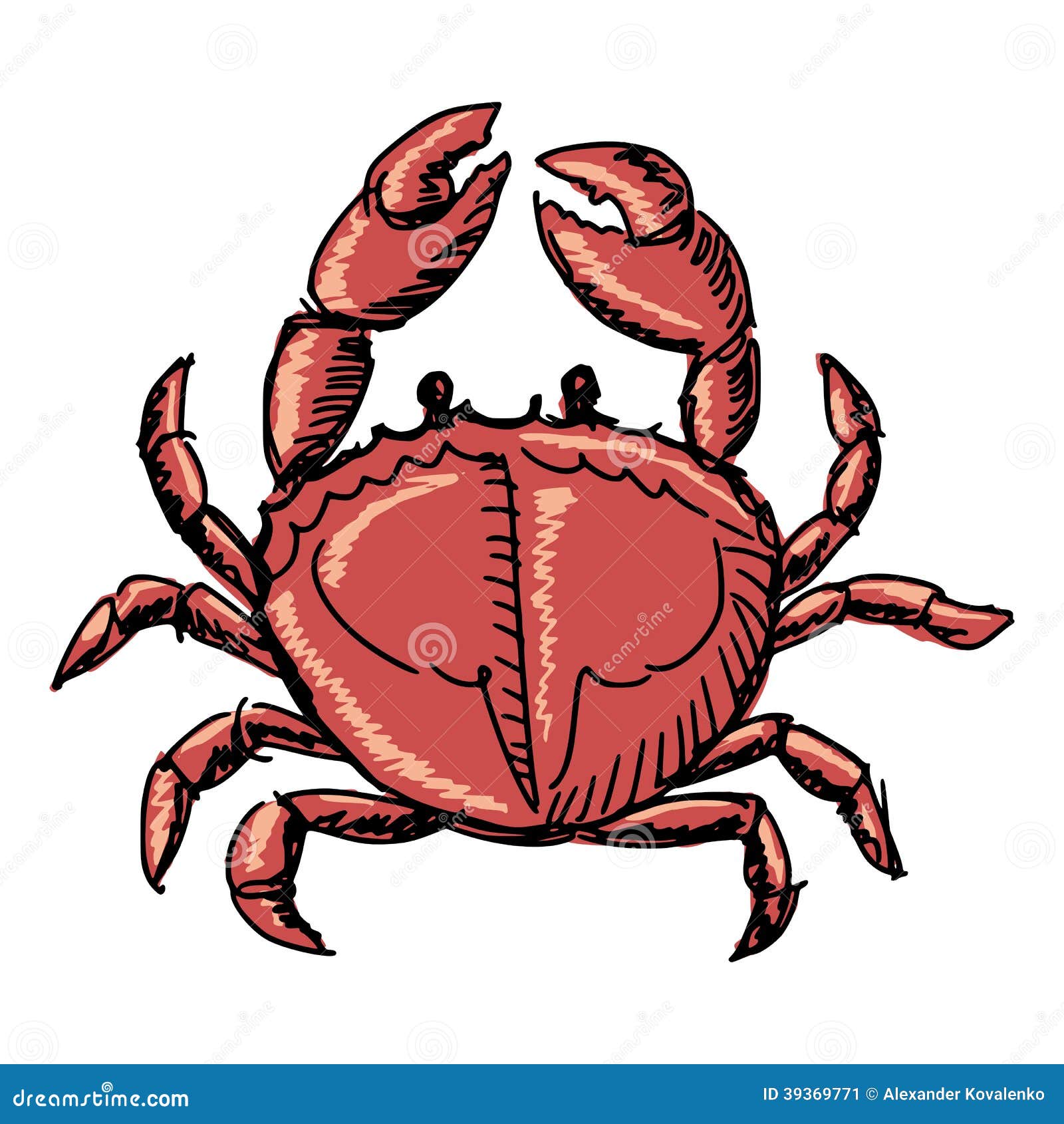 Crab stock vector. Illustration of fish, animal, crab 39369771