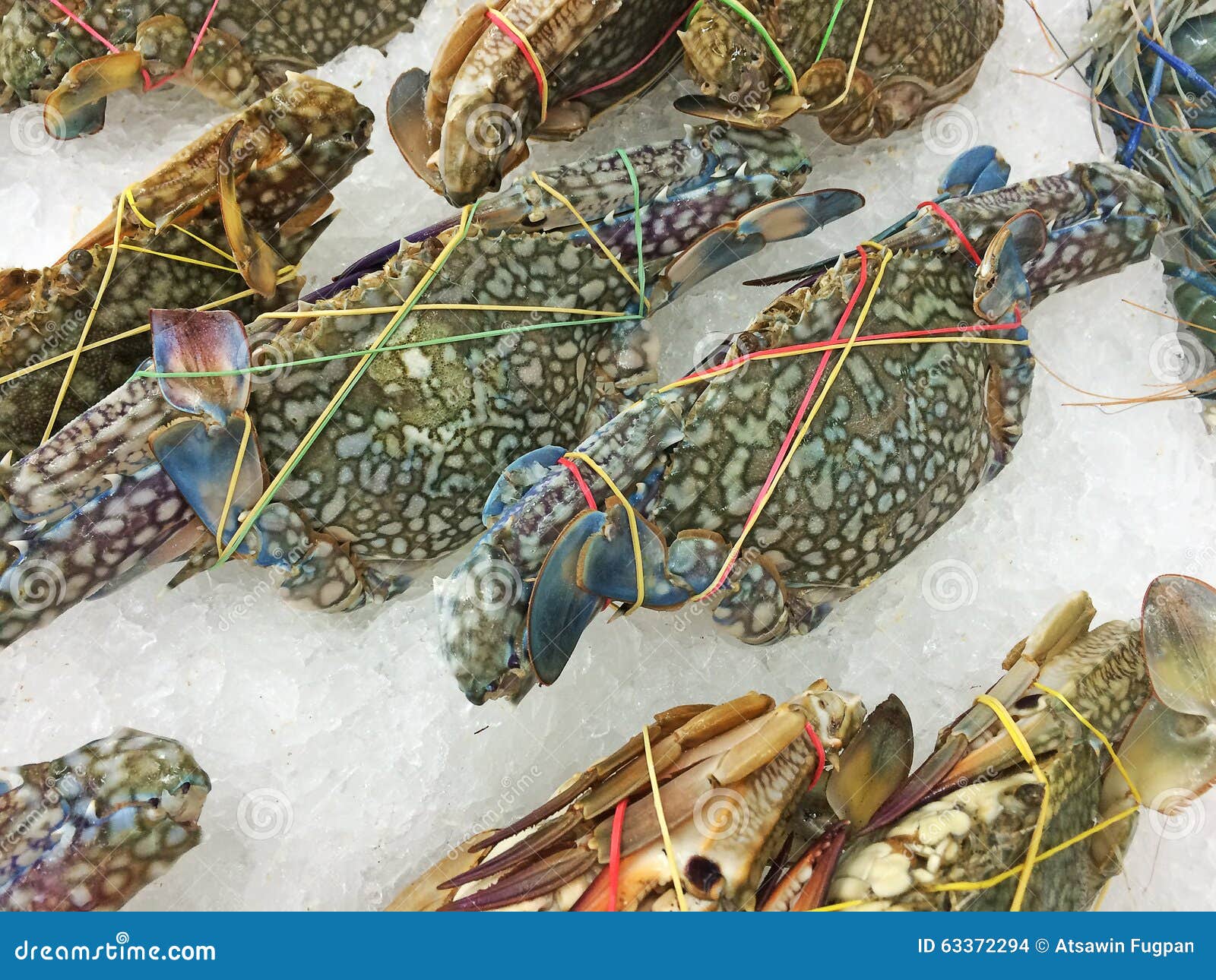 Crab in market. stock photo. Image of food, gourmet, seafood 63372294