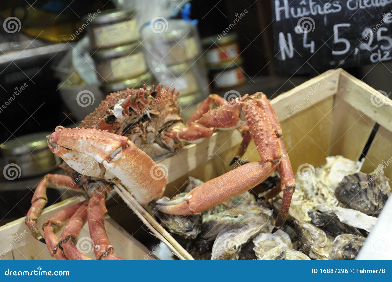 Crab and oysters stock photo. Image of saint, fish, spider 16887296