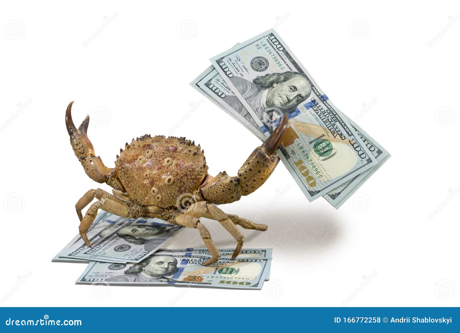 Crab And US Dollars, On The Isolated White Background Stock Photo
