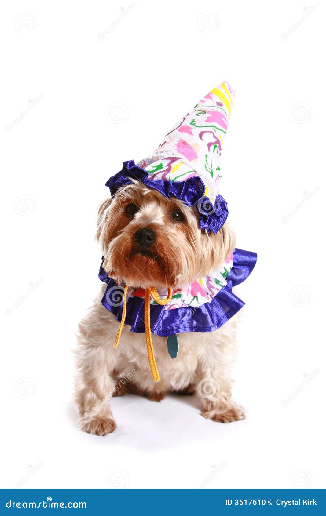 Crabot De Joyeux Anniversaire Photo Stock Image Du Joyeux Anniversaire Crabot De Joyeux Anniversaire Photo Stock Image Du Joyeux Anniversaire