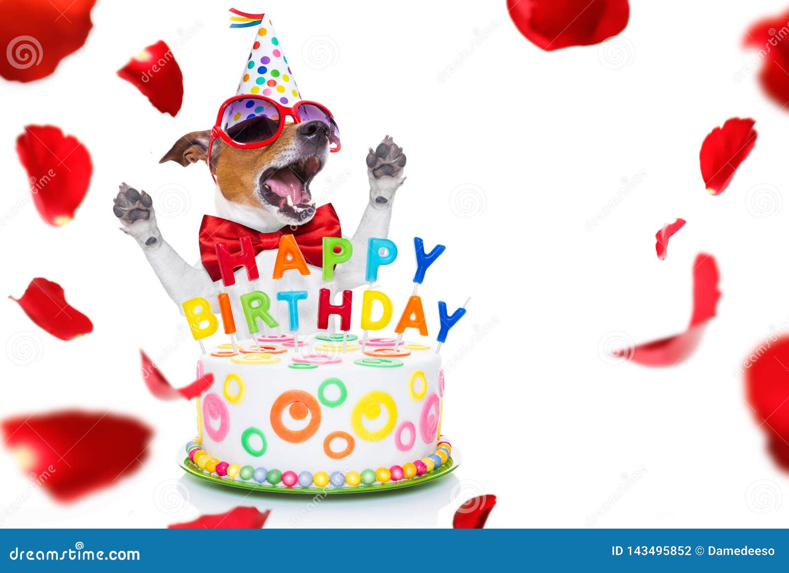 Crabot De Joyeux Anniversaire Photo Stock Image Du Musicien Isolement Crabot De Joyeux Anniversaire Photo Stock Image Du Musicien Isolement