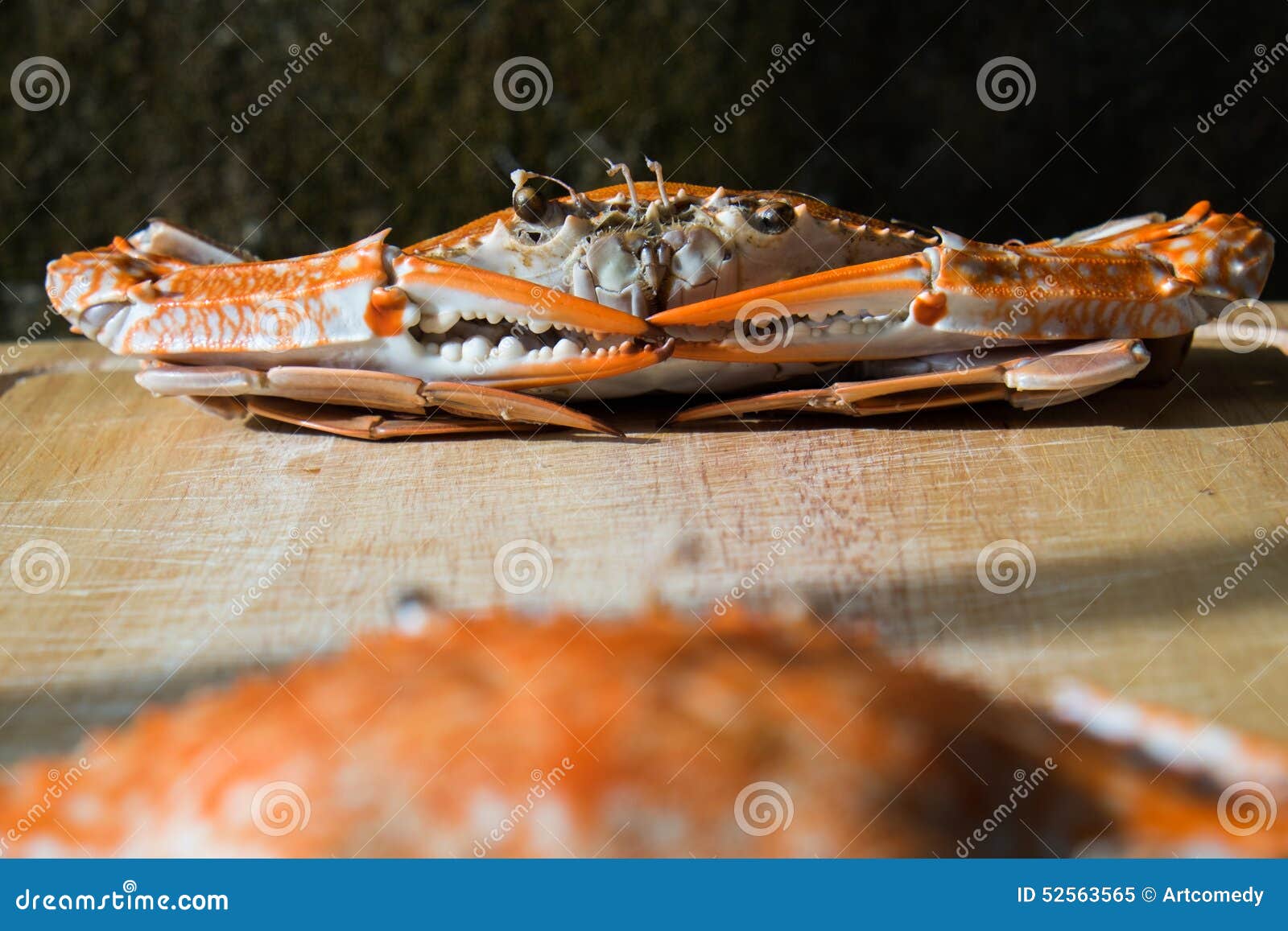 Crabs boiled stock image. Image of cook, lobster, ocean 52563565