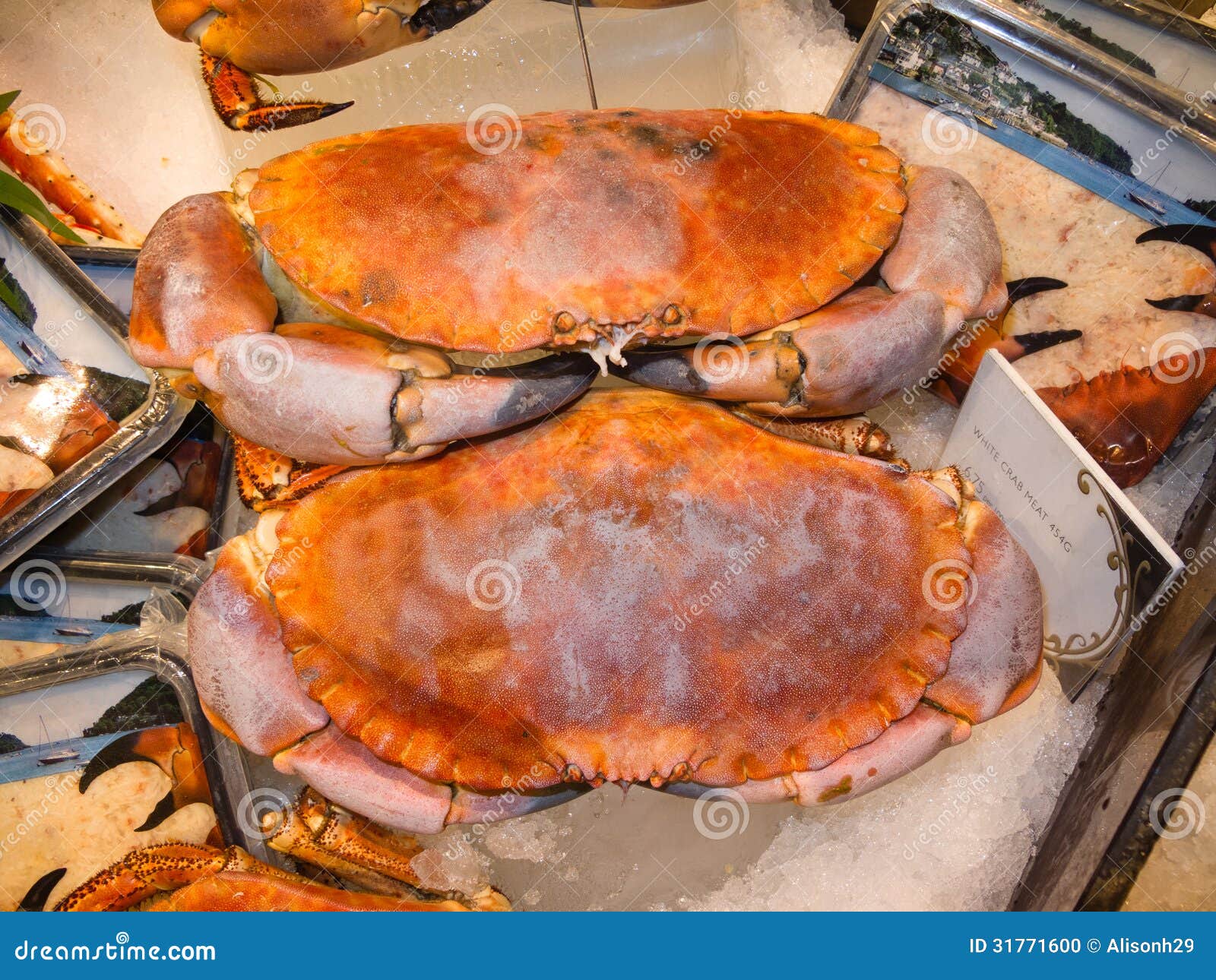 Crabs stock photo. Image of retail, dining, cook, restaurant 31771600