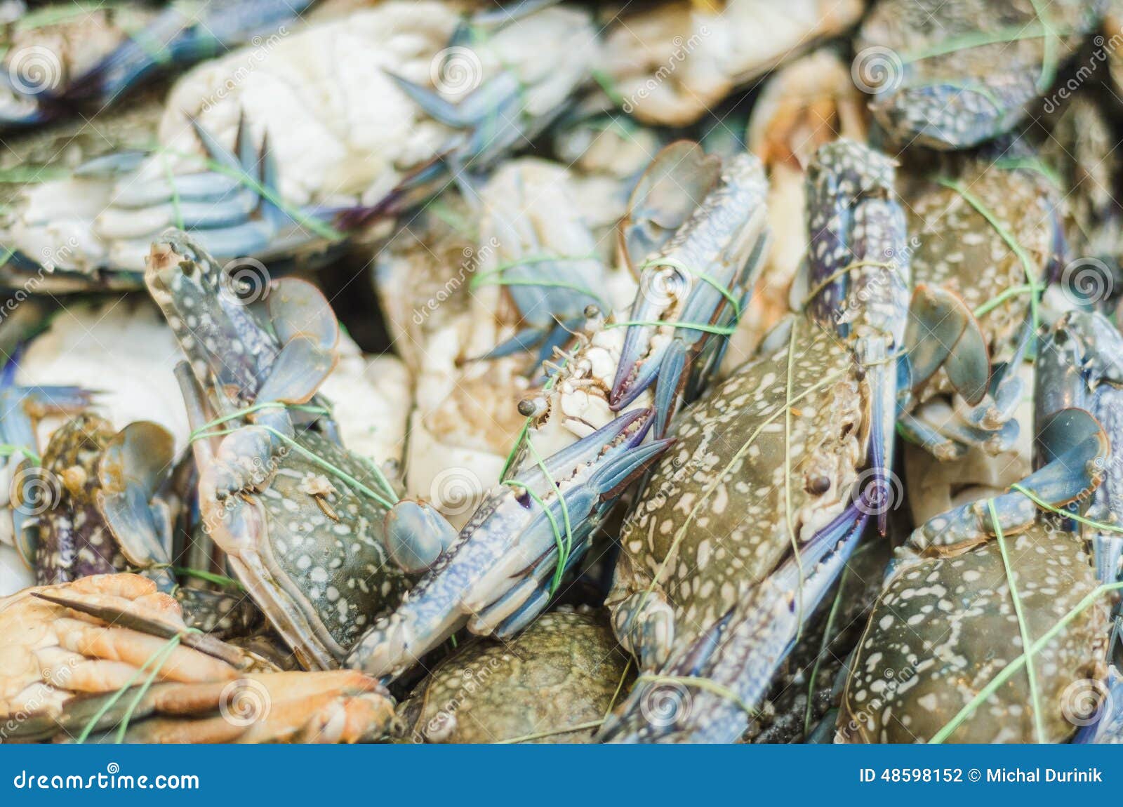 Crabs and Lobster at the Fish Market Stock Photo Image of crabs