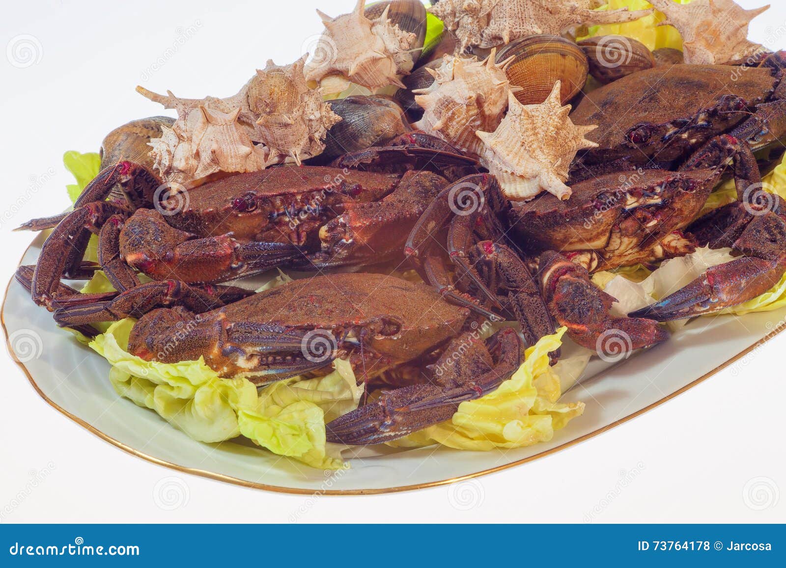 Crabs, Snails and Clams before Cooking, Dish Over White Background