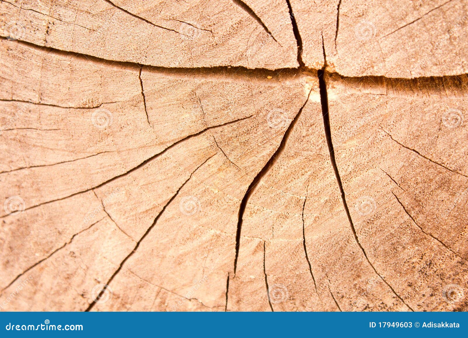 Crack on the teak textures stock image. Image of wood 17949603