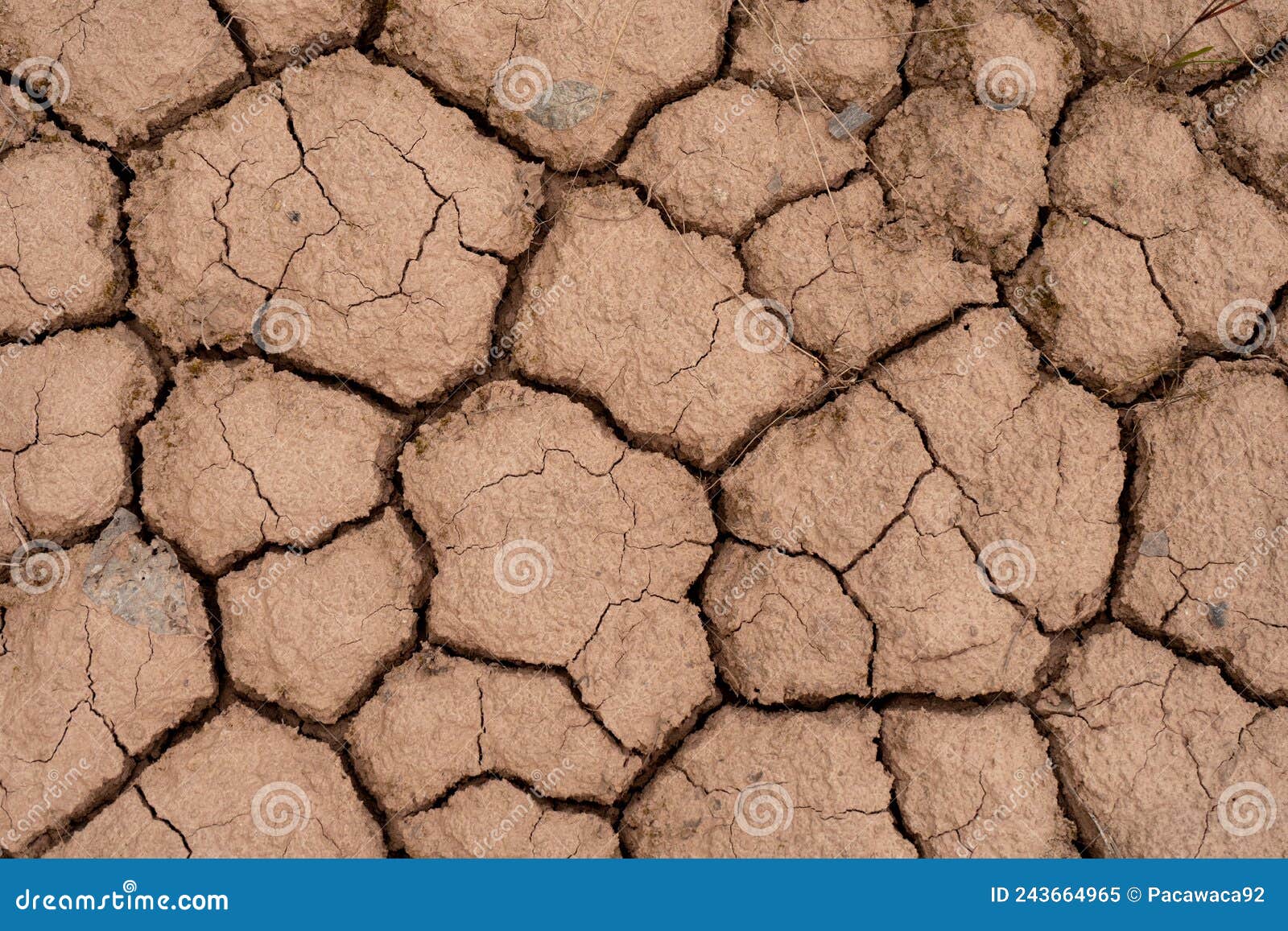 cracked alumina. takyr cracks in dry soil