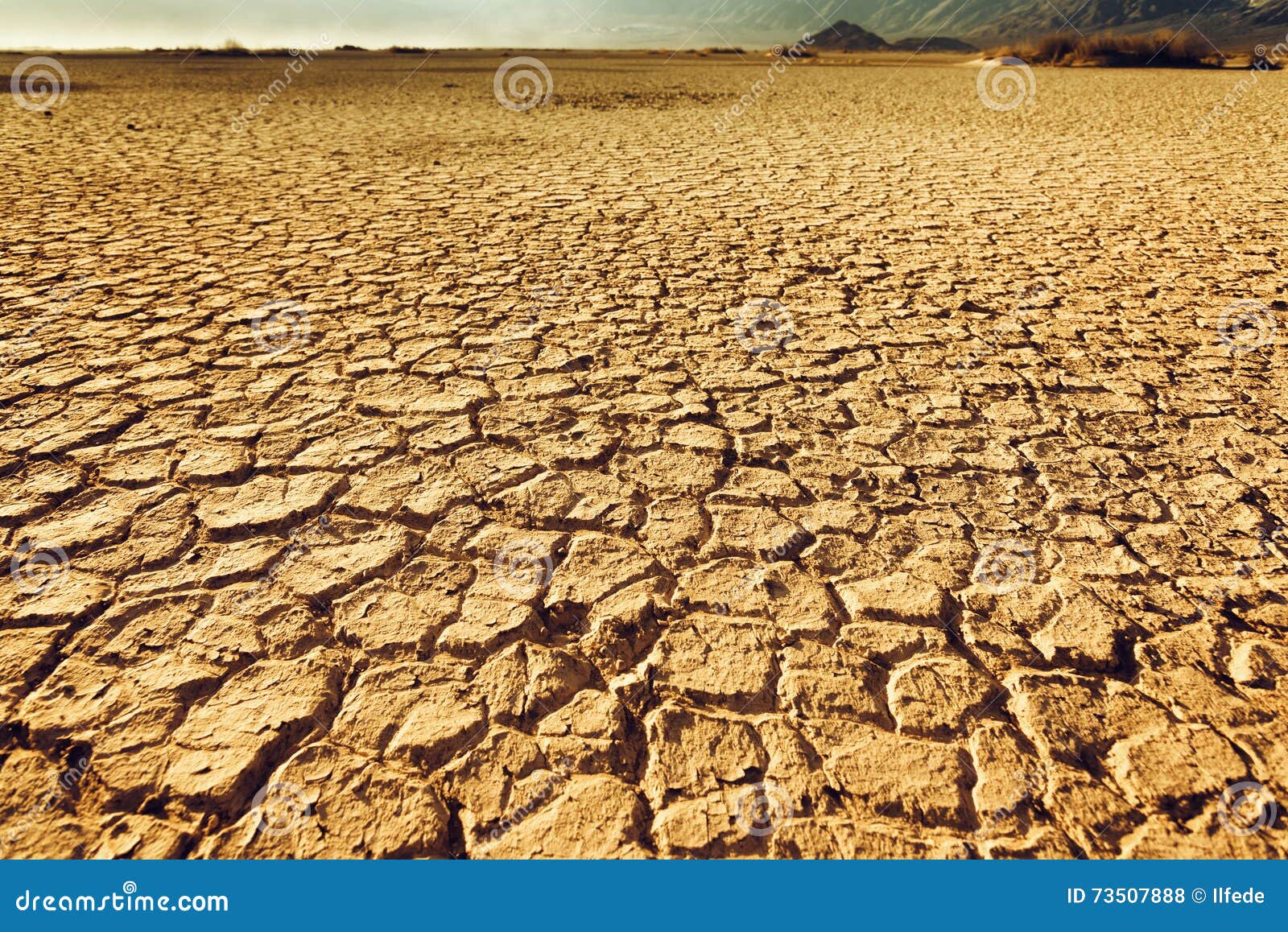 cracked and arid soil