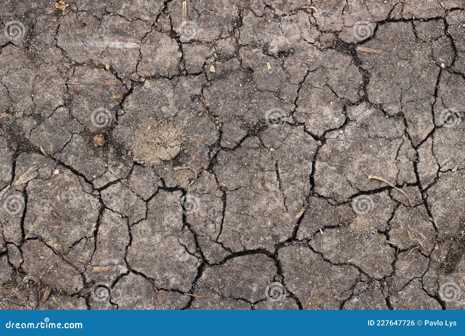 Cracked dry land close up stock photo. Image of rough 227647726