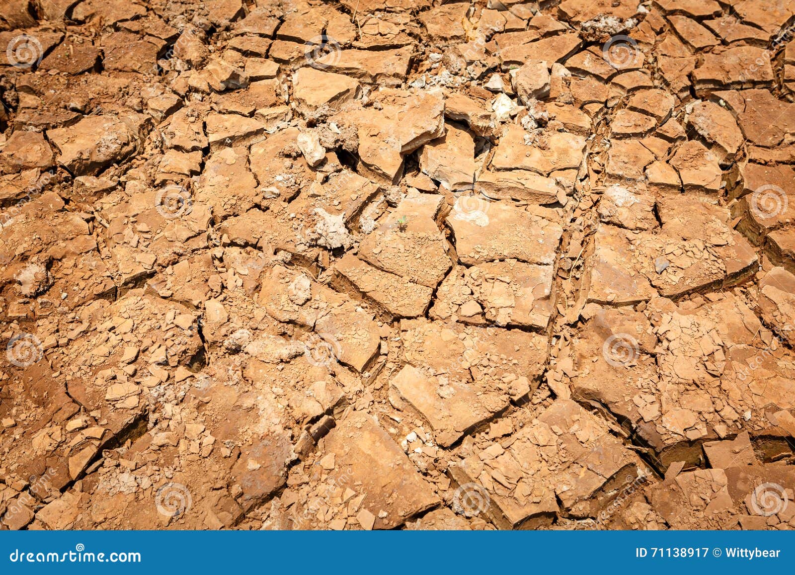 Cracked Dry Land without Water Stock Image Image of global, damage