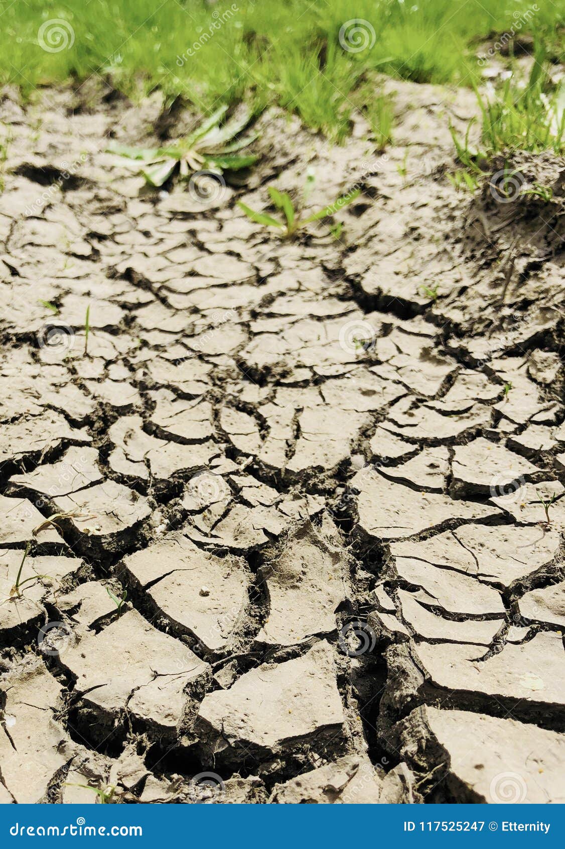 Cracked dry soil after heAvy rain ground perspective