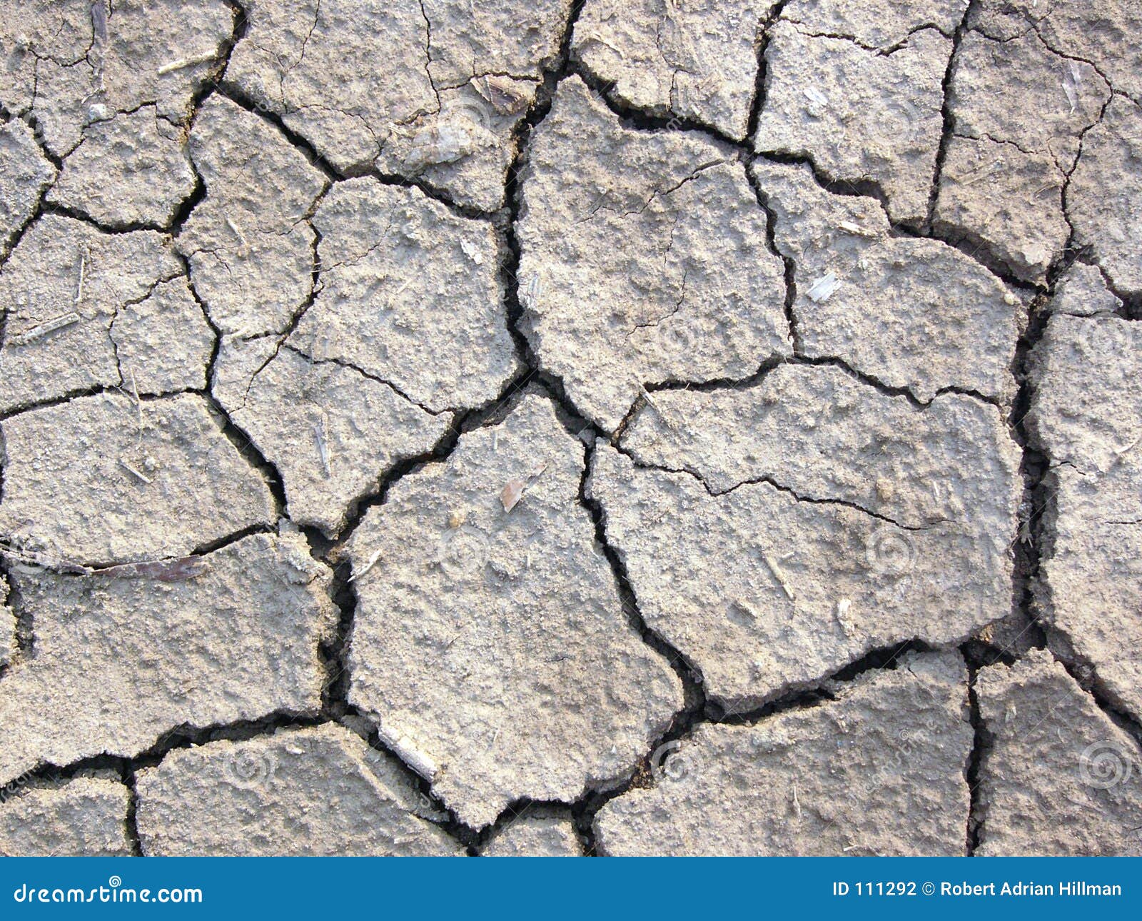 Cracked earth stock photo. Image of soil, pattern, ground 111292