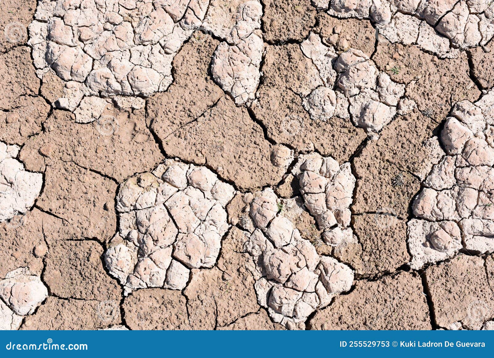 cracked earth due to drought and climate change