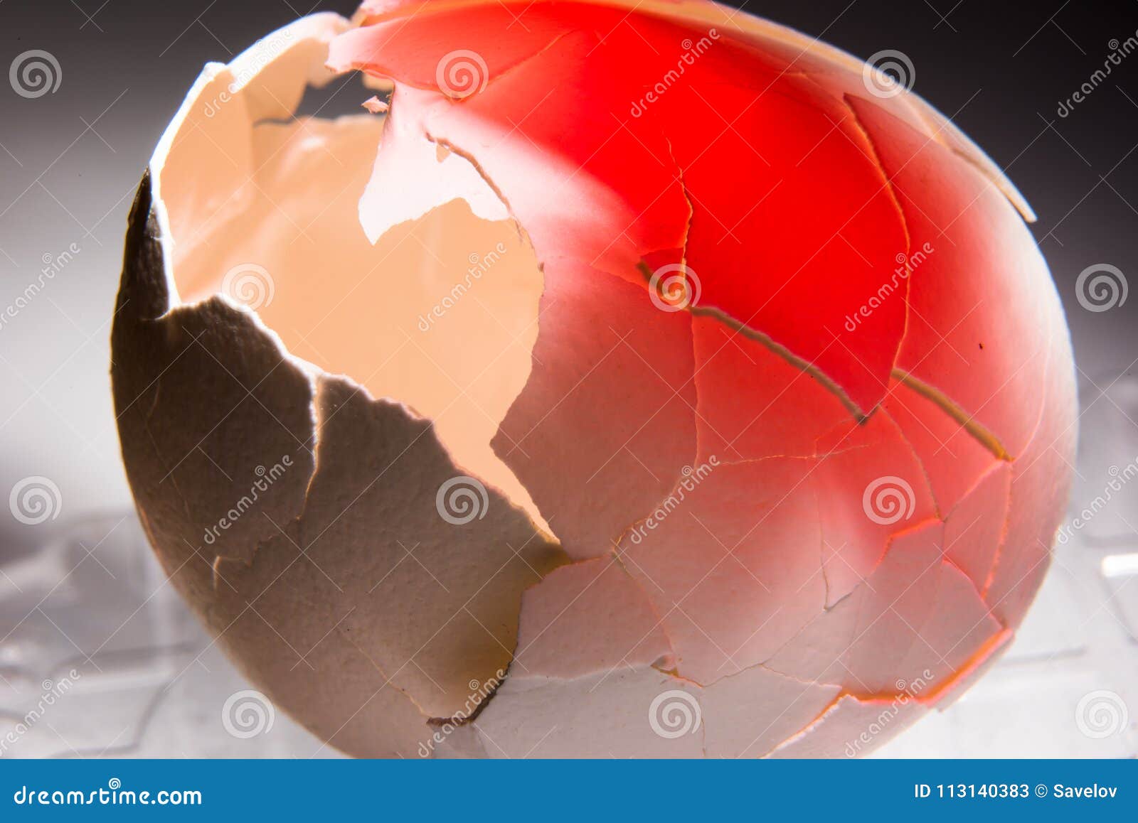 Cracked Eggshell Lined with Red, Concept Against Abortion and Bad