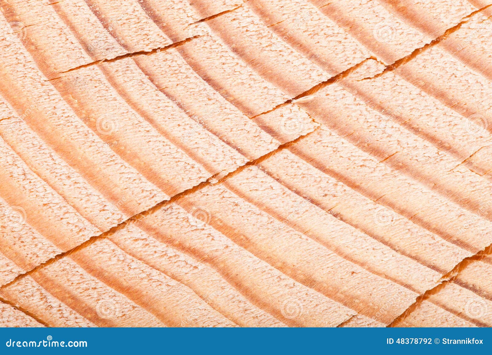 Cracked heartwood. Pine stock photo. Image of distinct 48378792