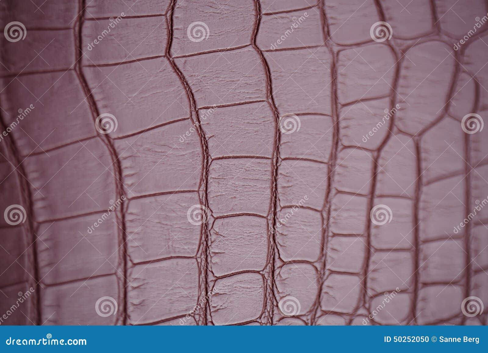 Cracked leather, close up stock photo. Image of extreme 50252050