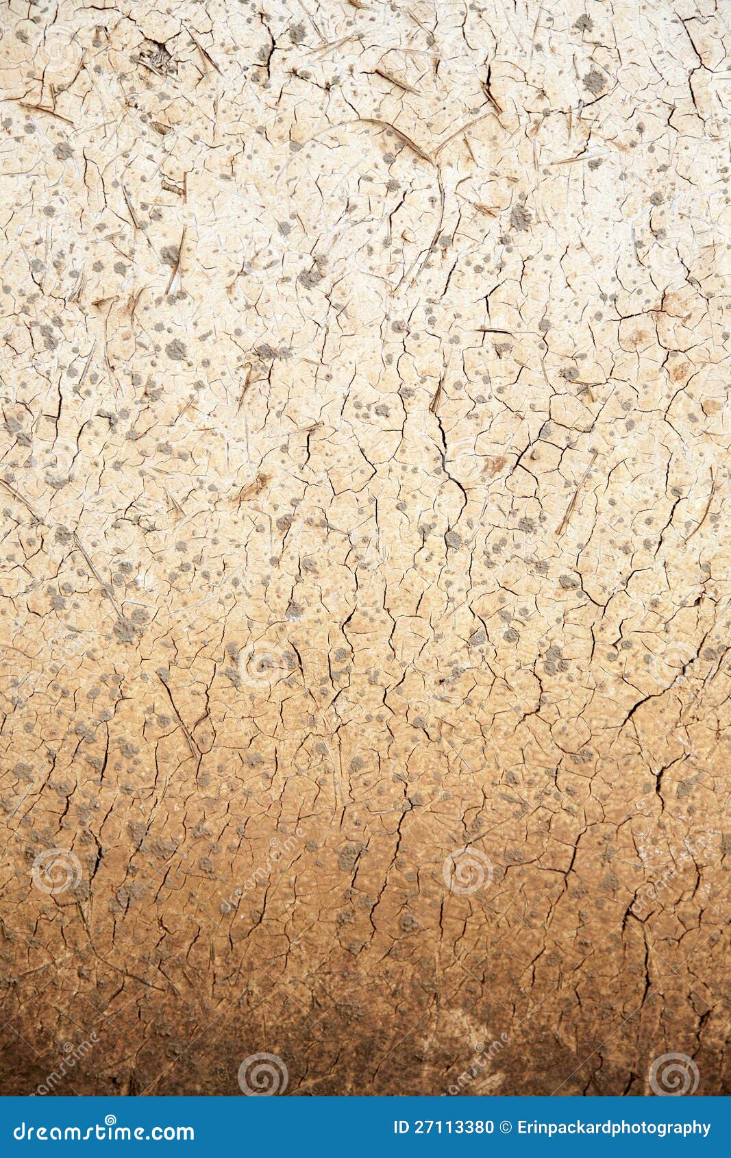 Cracked Mud Plaster Texture Stock Photo Image of backgrounds, crack