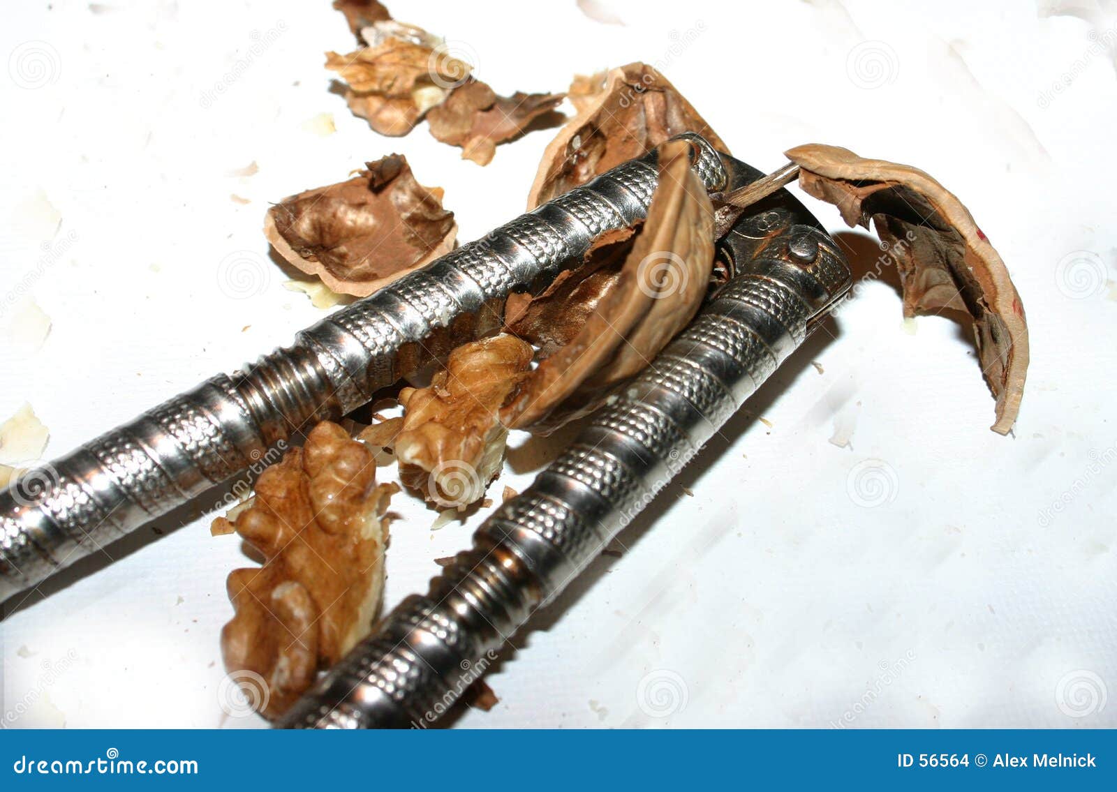 Cracked Nut stock photo. Image of cracked, nuts, crack, cracker 56564