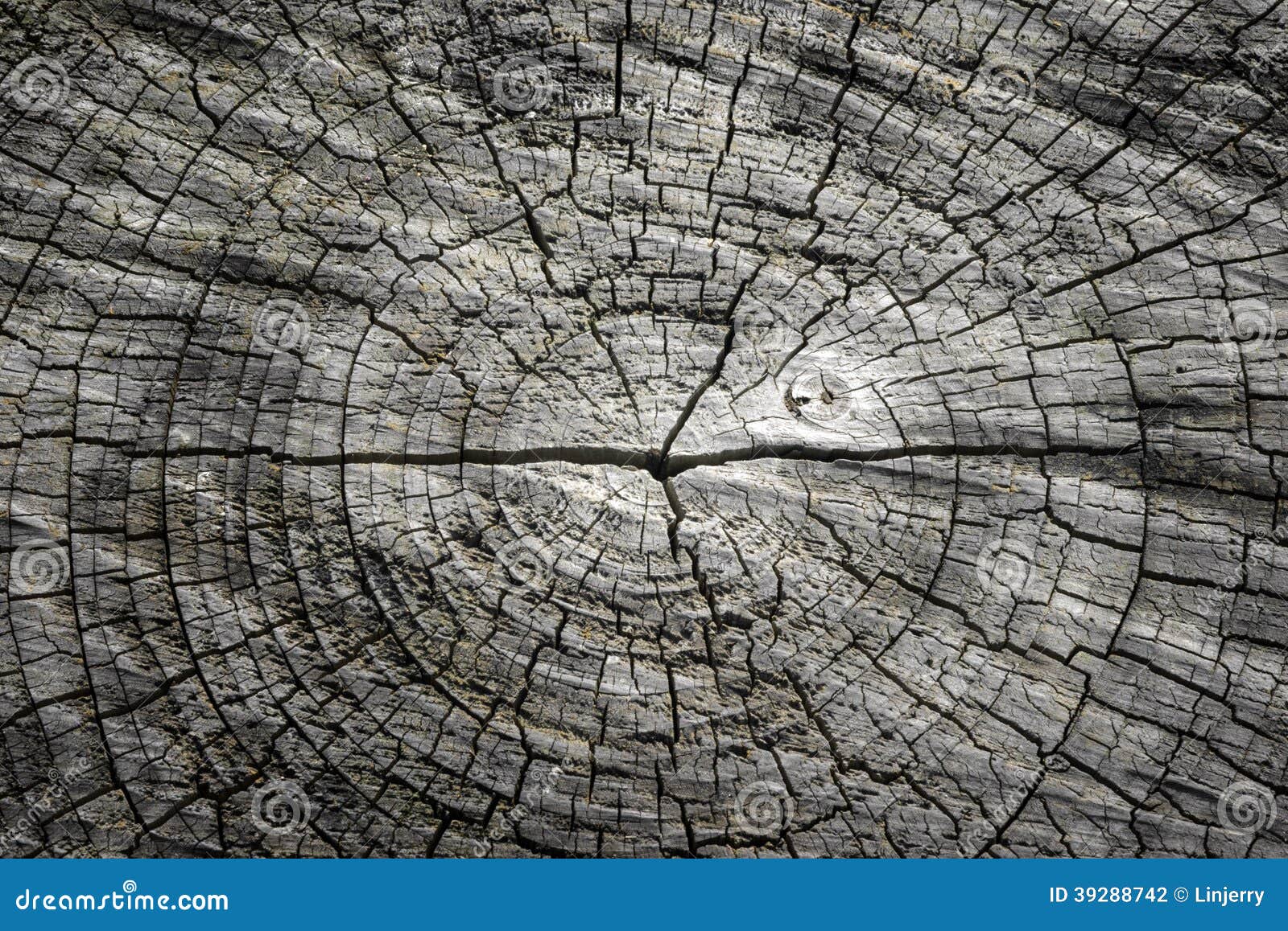 Cracked stock photo. Image of macro, ring, growth 39288742