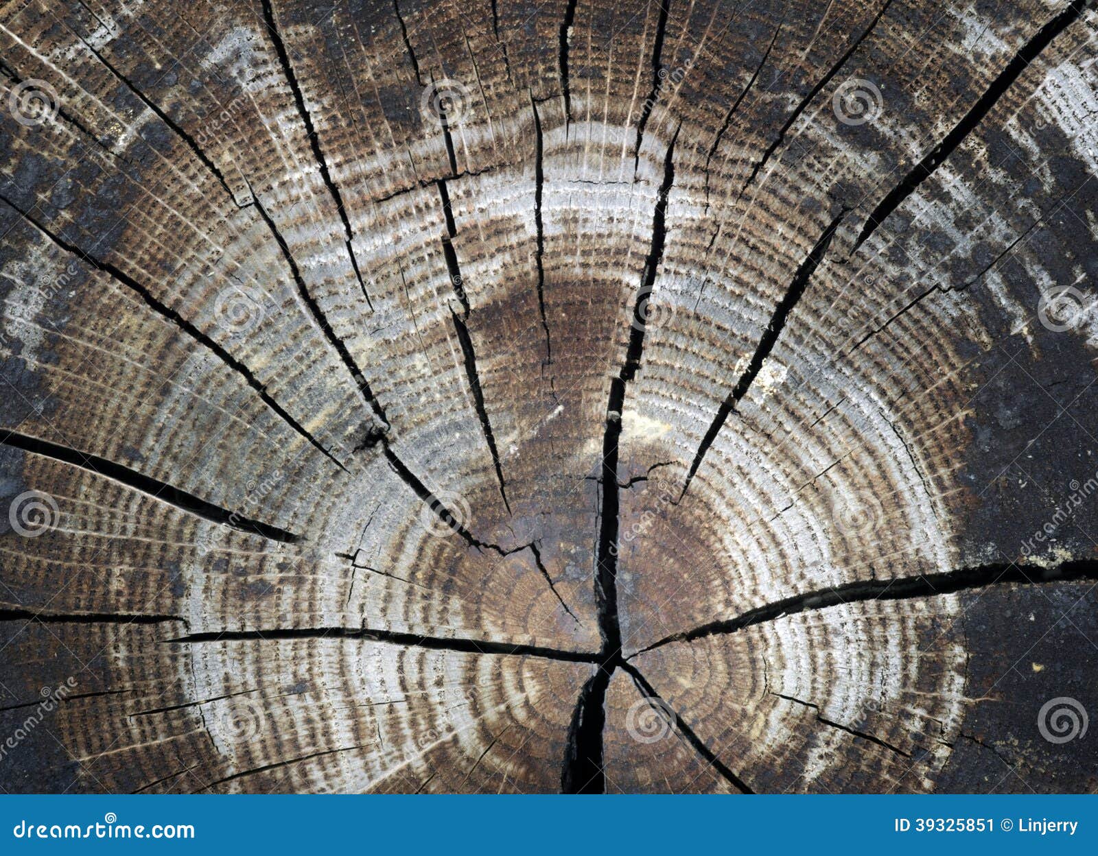 Cracked stock image. Image of sunlight, circle 39325851