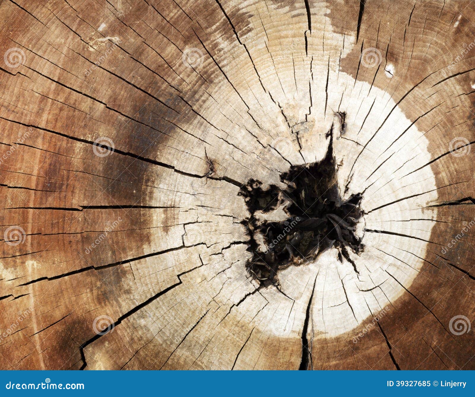 Cracked stock image. Image of frame, nature 39327685