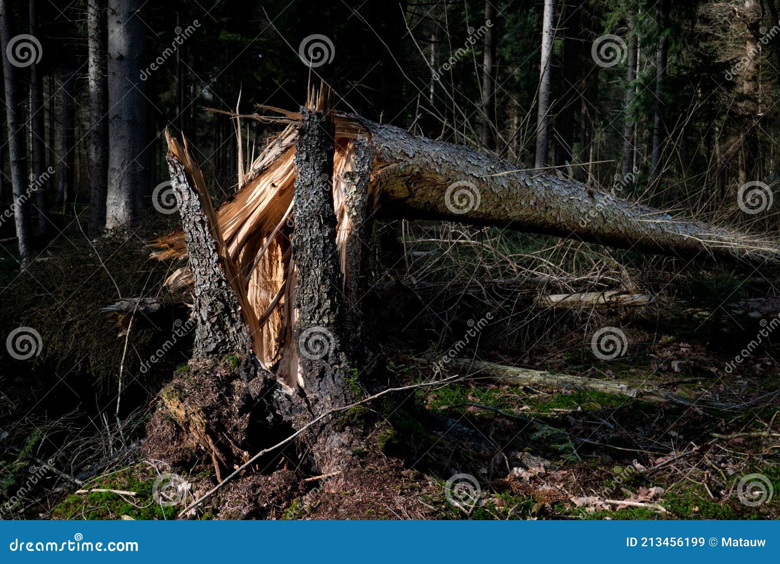 Cracked RoyaltyFree Stock Image 39288742