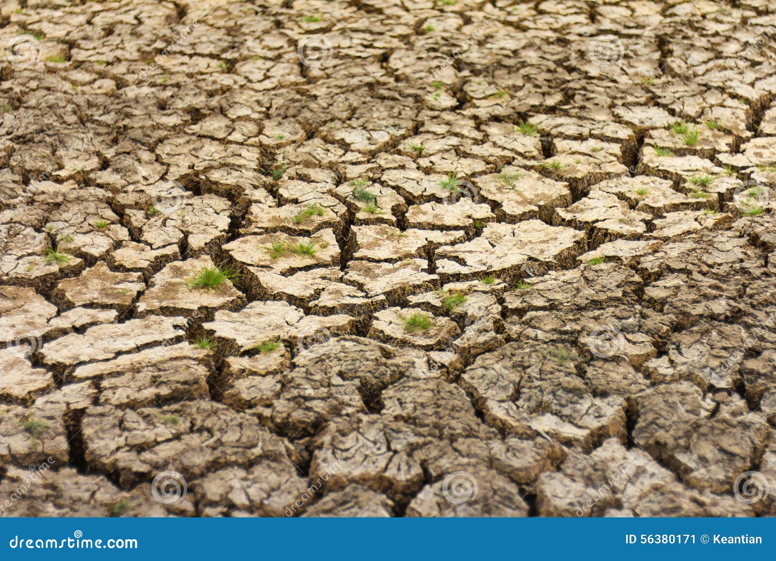 Cracked soil dry grass stock image. Image of dryness 56380171