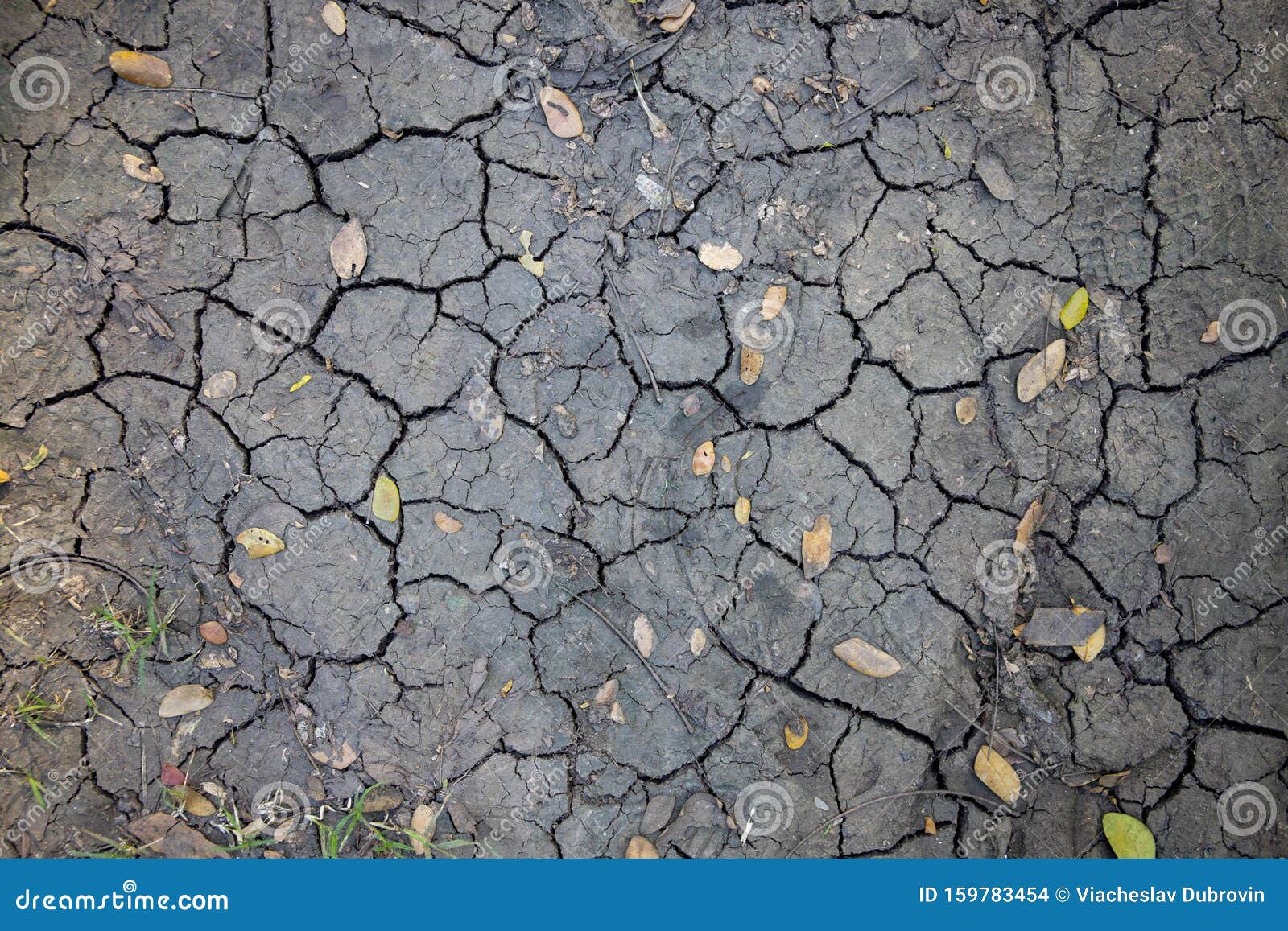 cracked soil with dry yellow leaf. grungy arid land texture. drought land top view photo. grey cracked floor surface