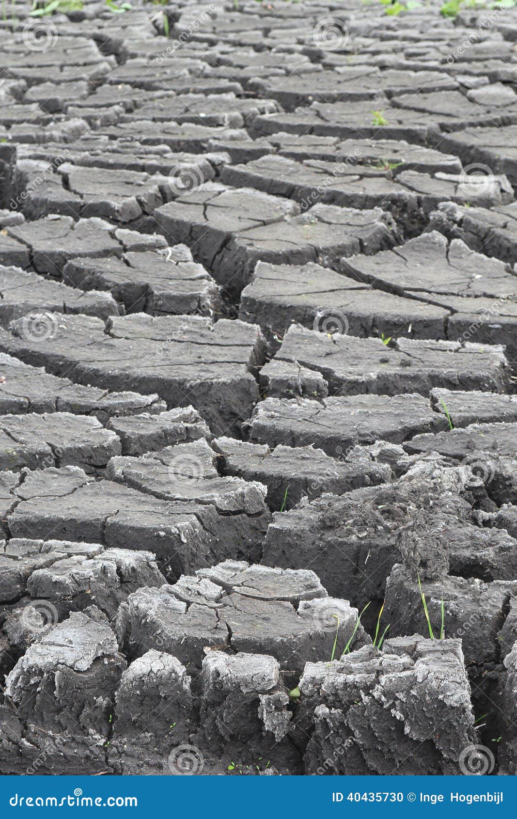 cracked soil by erosion, artwork of nature