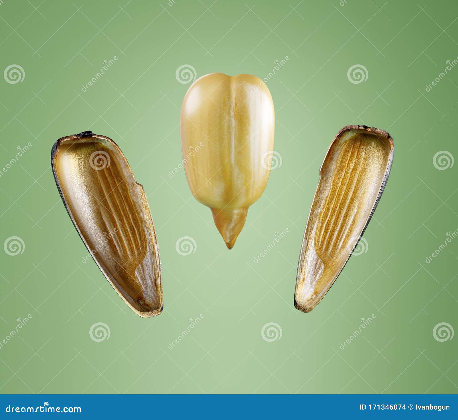 Cracked Sunflower Seed Isolated on Green Background with Clipping Path